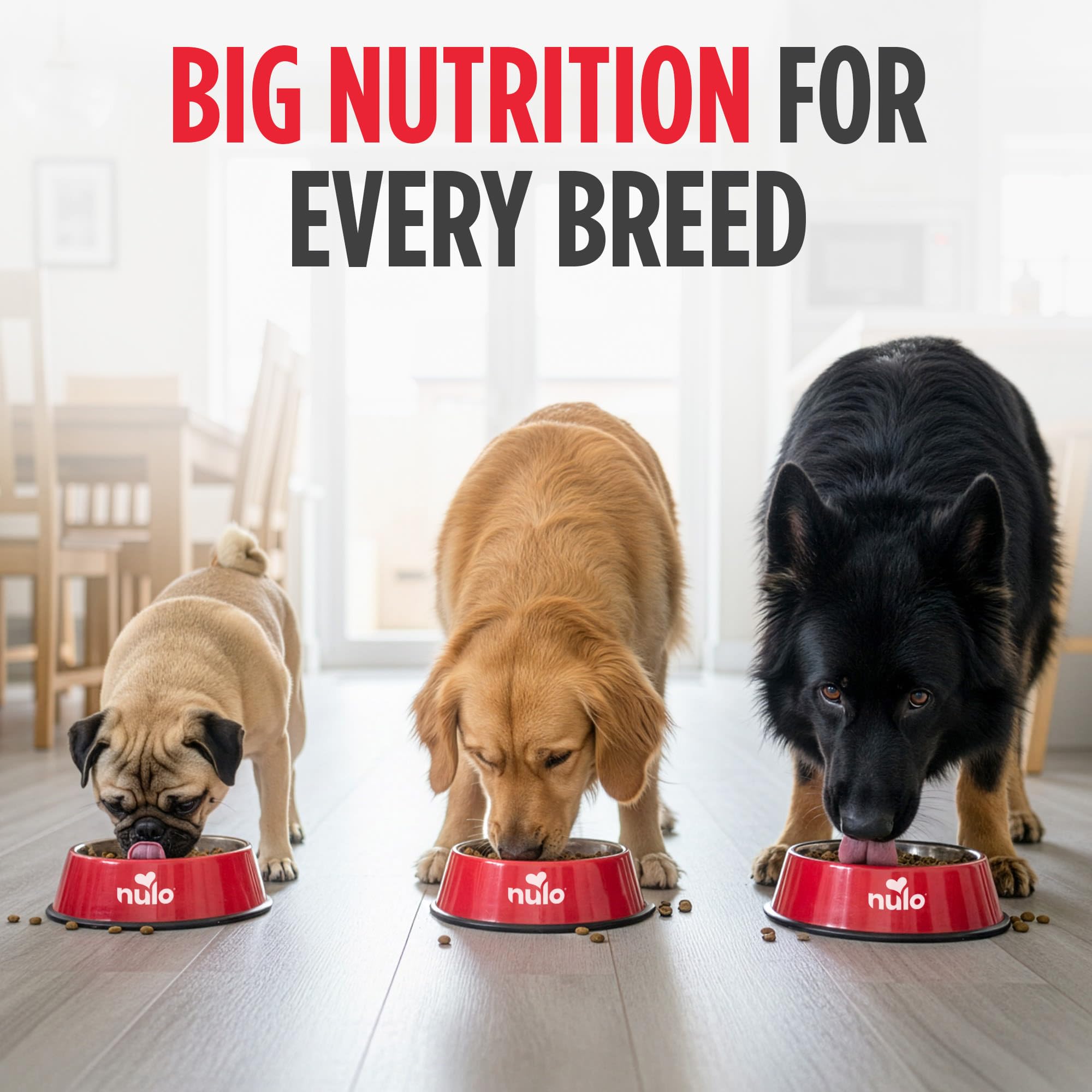 Nulo Freestyle Adult Dog Food, Premium All Natural Grain-Free Dry Small Kibble Dog Food, with BC30 Probiotic for Healthy Digesti
