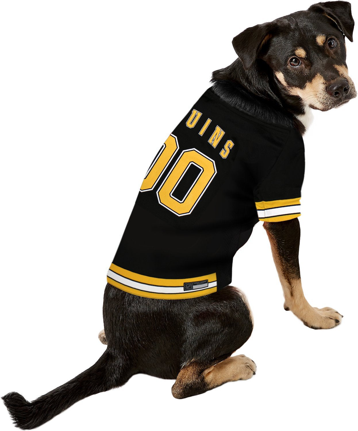 Pets First NHL Boston Bruins Jersey for Dogs & Cats, Medium. - Let Your Pet Be A Real NHL Fan!