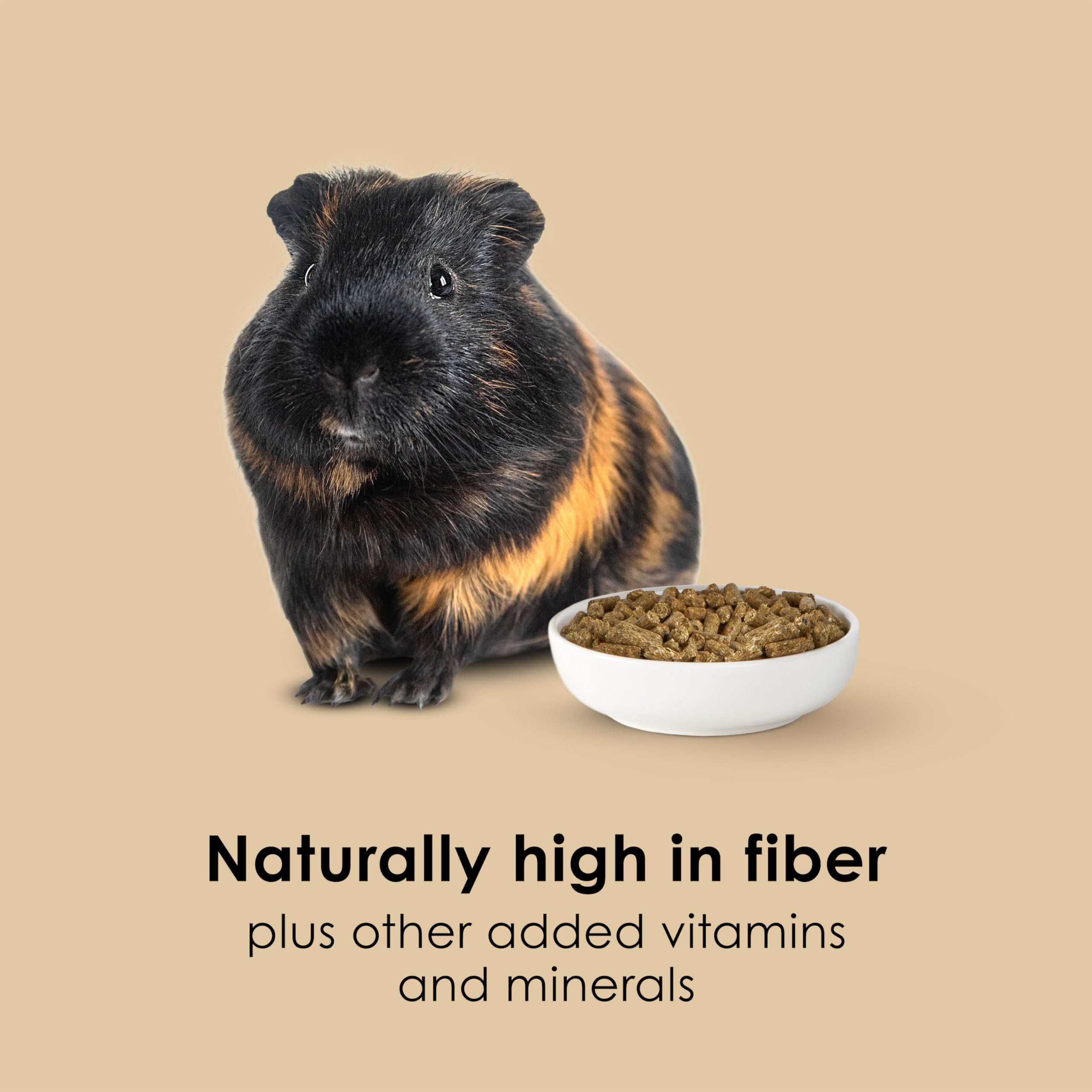 Kaytee Guinea Pig, Timothy Complete, 25lb