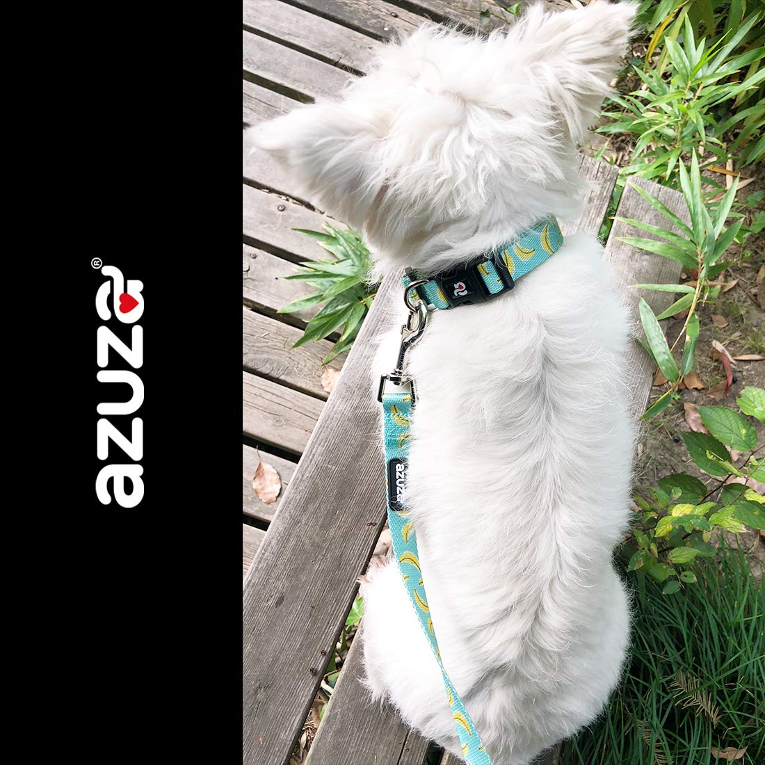 Azuza Dog Collar And Leash Set, Cute Patterns On Nylon Collar And Matching Leash, Great Option For Medium Dogs