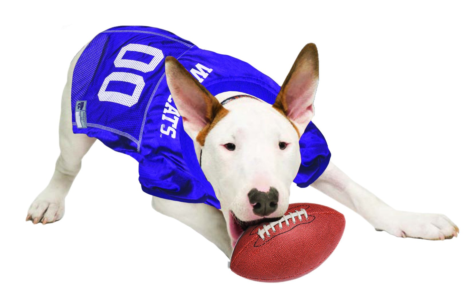 Pets First NCAA College Kansas State Wildcats Mesh Jersey for DOGS & CATS, Size Small, Licensed Dog Jersey with your Favorite Fo