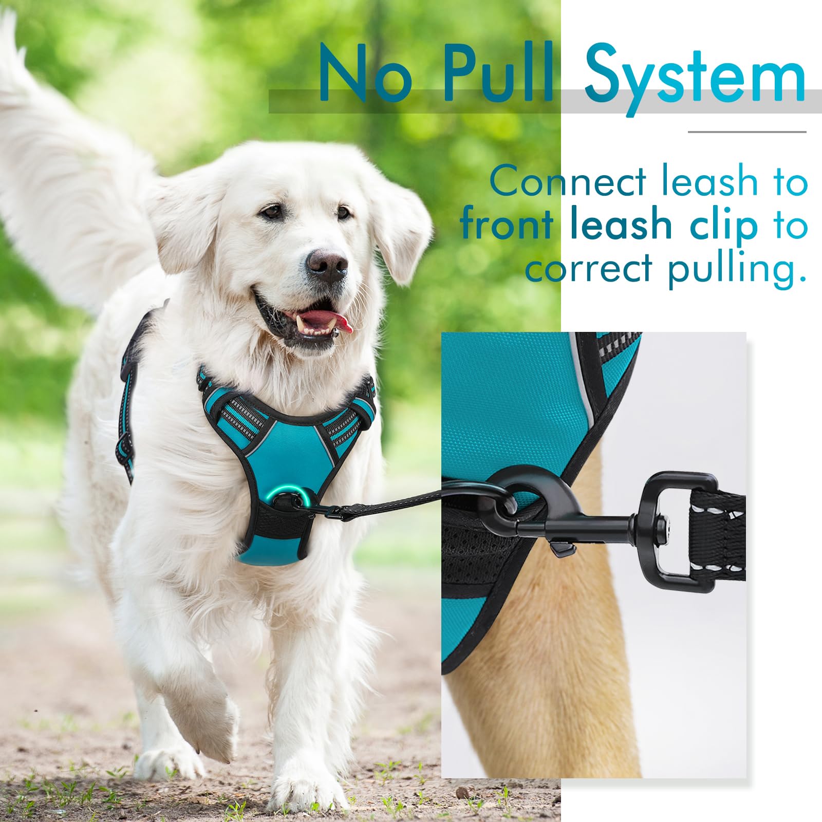 Rabbitgoo Dog Harness, No-Pull Pet Harness With 2 Leash Clips, Adjustable Soft Padded Dog Vest, Reflective No-Choke Pet Oxford Vest With Easy Control Handle For Large Dogs, Teal, Xl