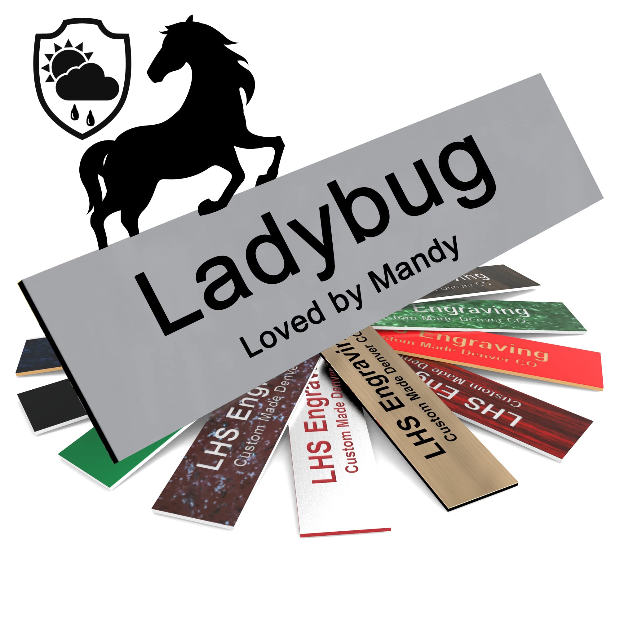 Lhs | Personalized Horse Stall Name Plates, 2X10 Horse Stall Signs With Adhesive, All Weather Uv Protected, Gray Plastic With Bl
