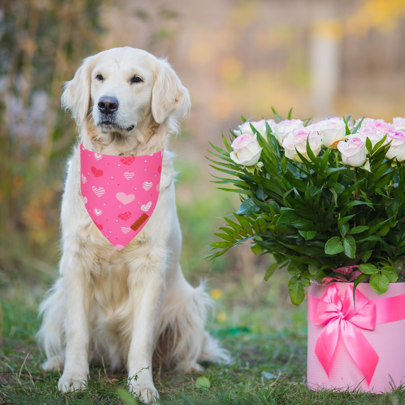 Ptdecor Valentine Dog Bandana,Bule And Pink Love Heart Design Reversible Dog Scarf, Triangle Valentine Bandanas For X-Large Pets