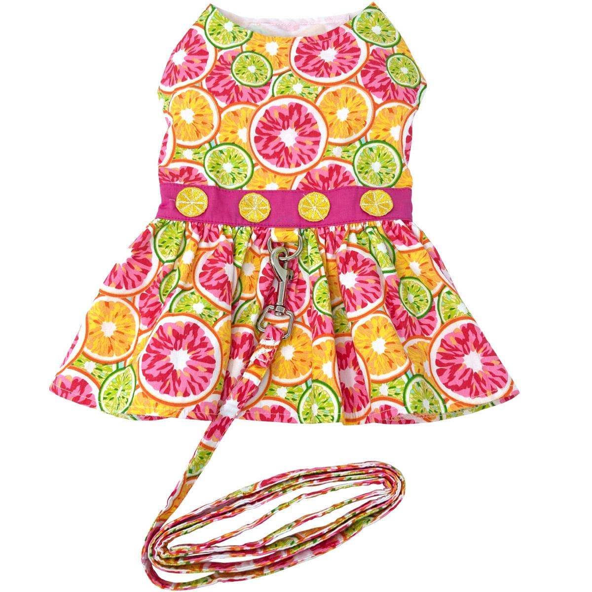 Citrus Slice Dog Dress With Matching Leash (Large)
