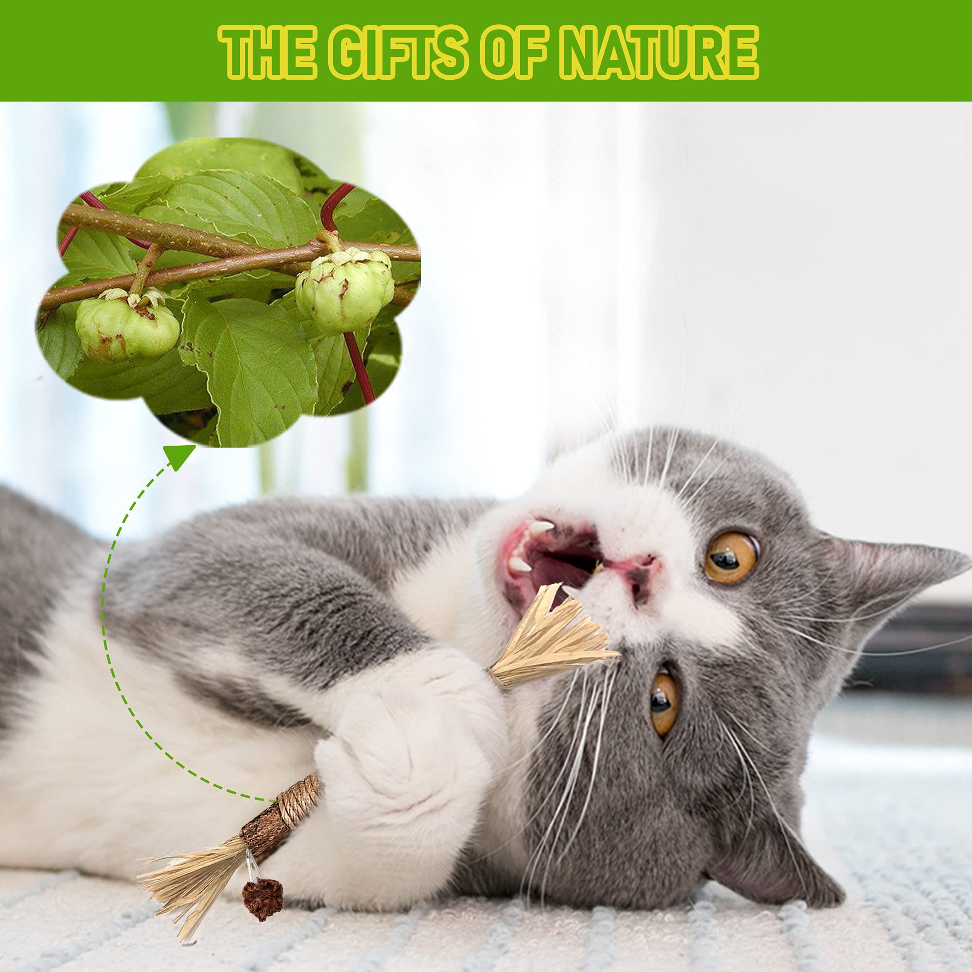 Gbsyu 5 Pack Silvervine Cat Toy, Silvervine Sticks Cat Toys For Indoor Cats, Cat & Kitten Chew Toys For Aggressive Chewers, Cat