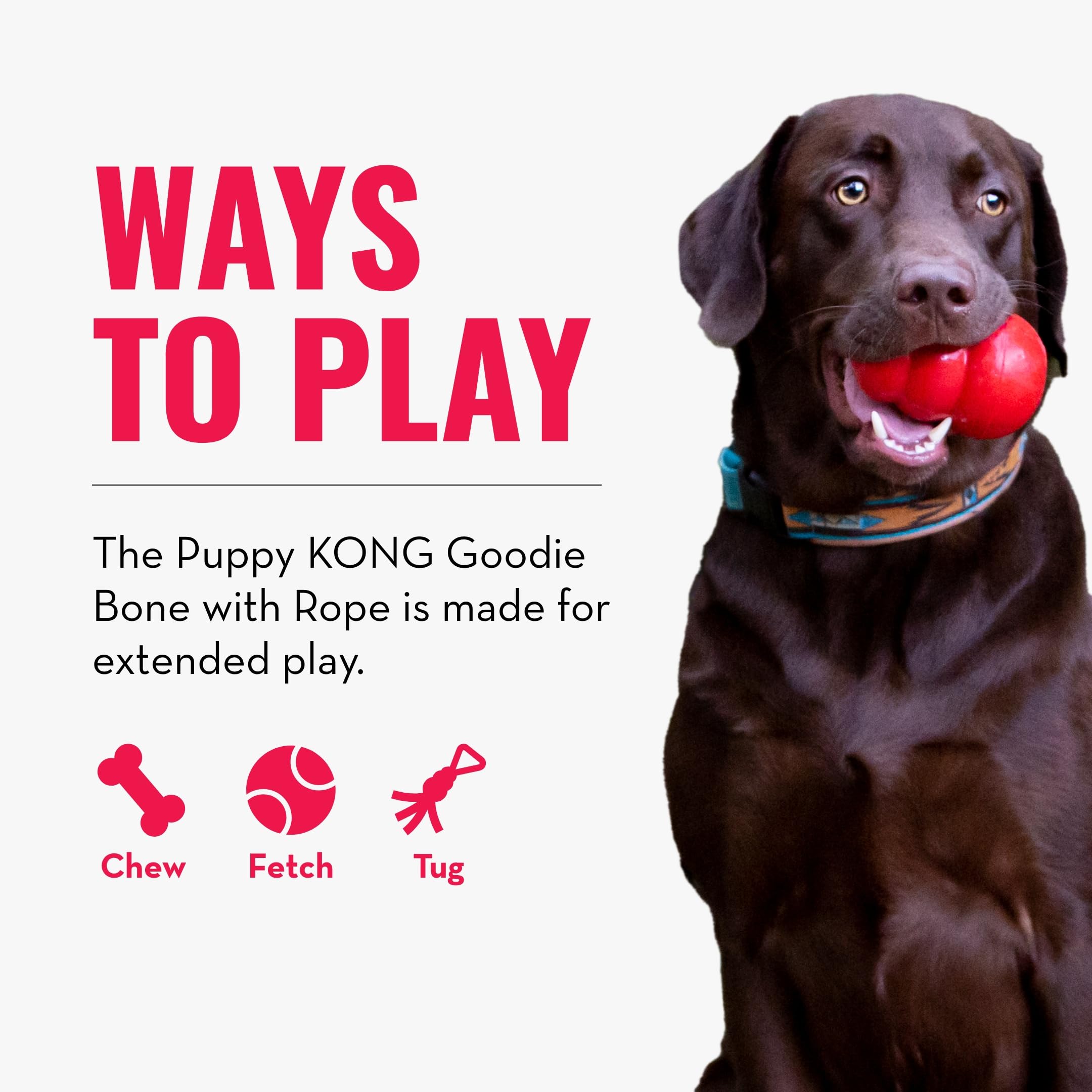 Kong Puppy Goodie Bone With Rope - Natural Rubber Bone With Cotton Rope - Teeth Cleaning Chew Toy For Growing Puppies - For Xs P
