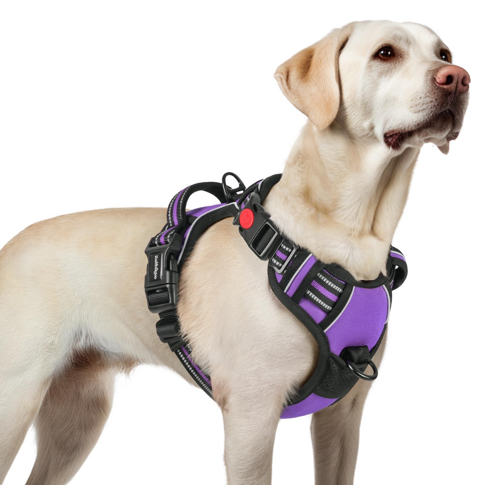Rabbitgoo Dog Harness For Large, No Pull Pet Harness With 3 Buckles, Adjustable Soft Padded Pooch Vest With Instant Control Handle, Easy Walking Reflective Pet Vest For Large Dogs, Purple, L