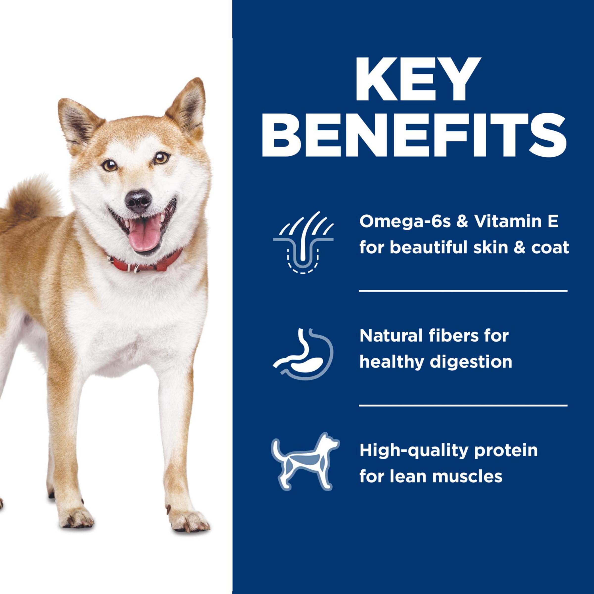 Hills Science Diet Adult 1-6, Adult 1-6 Premium Nutrition, Dry Dog Food, No Corn, Wheat, Soy Chicken & Brown Rice, 4 lb Bag