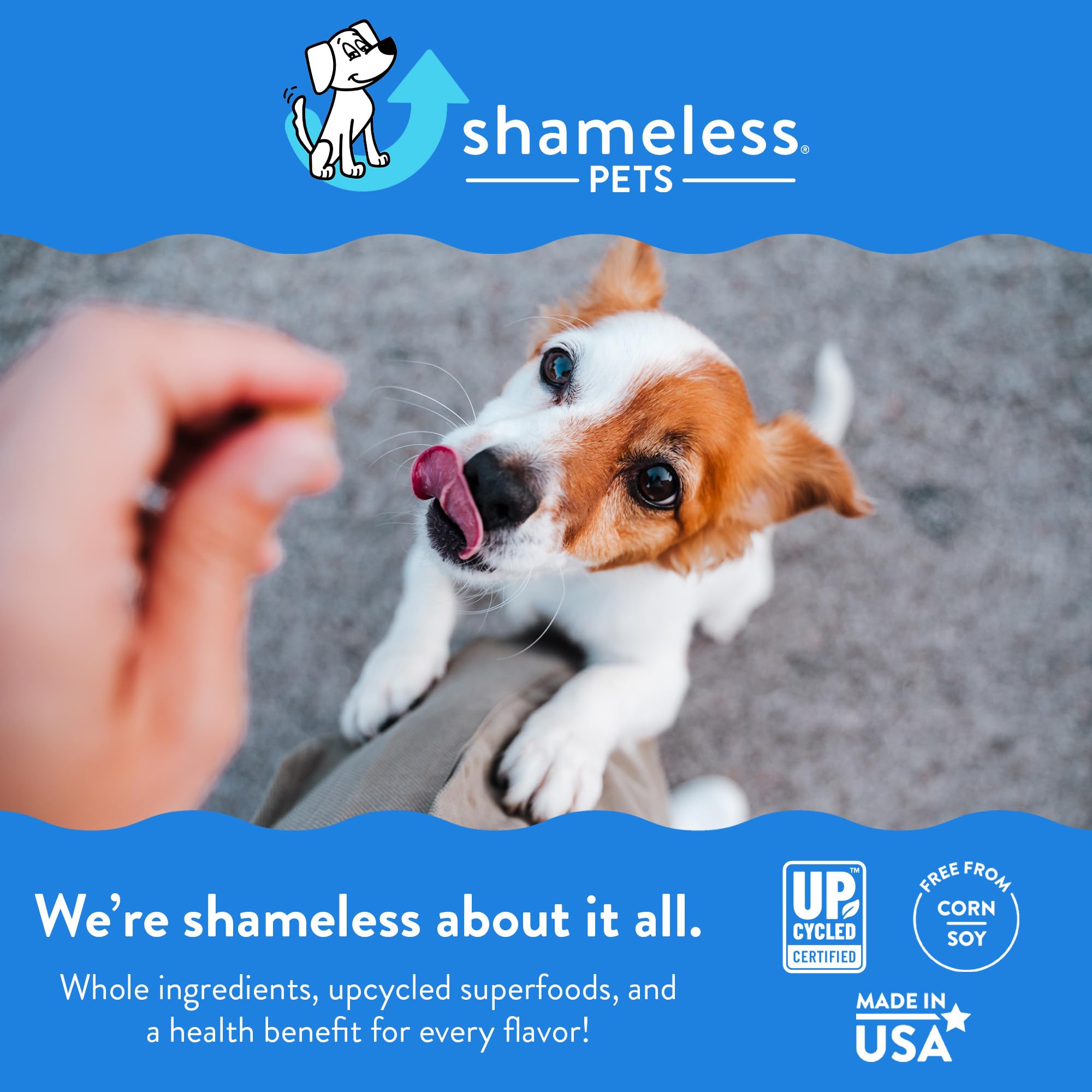 Shameless Pets Crunchy Dog Treats - Peanut Butter Birthday Cake, 5 oz, Corn & Soy Free, For Small, Medium & Large Dogs