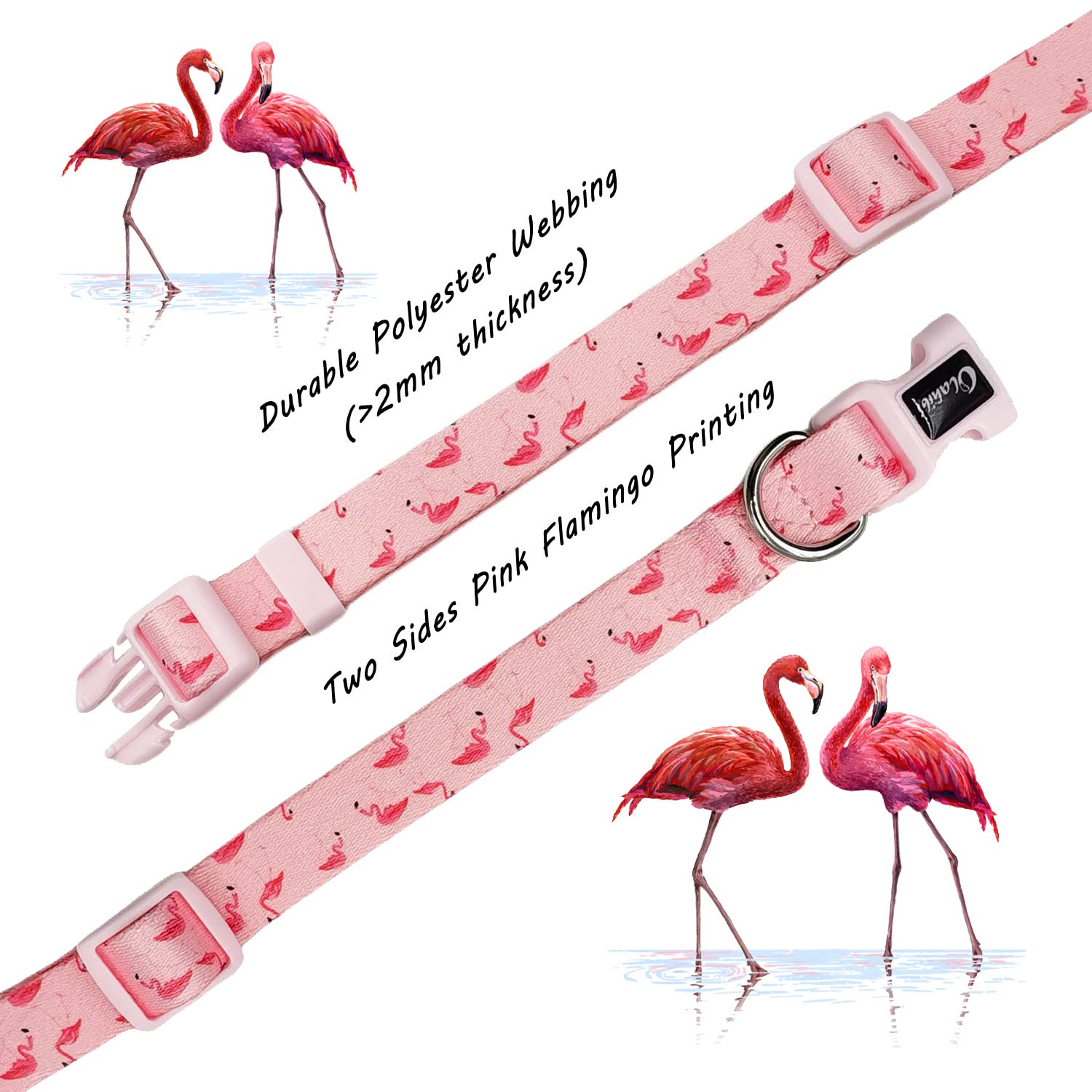 Olahibi Dog Collar Leash Set, Flamingo Pattern, Polyester Material, Adjustable Collar And 5Ft Matching Leash, For Small Dogs.(S,