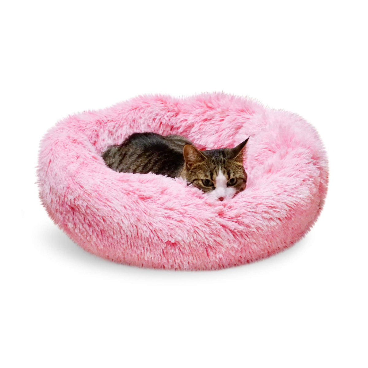 Whiskers & Friends Cat Bed, Cat Beds For Indoor Cats Washable, Small Dog Bed Calming Pet Bed, Cat Beds & Furniture, Large Cat Be