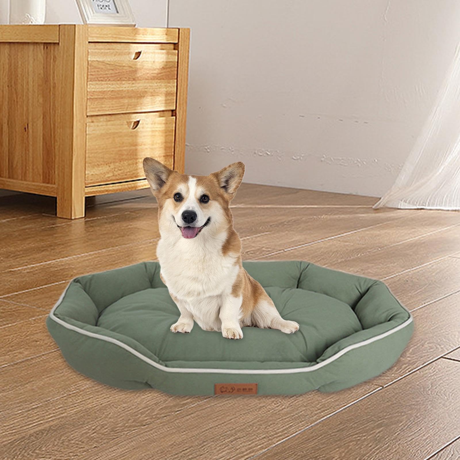 APIRILY Soft Dog Bed Comfortable Pet Supplies Dog Bed Mat for Large Dogs Cats Indoor Green | Pet Supplies | Dog Supplies | Beds