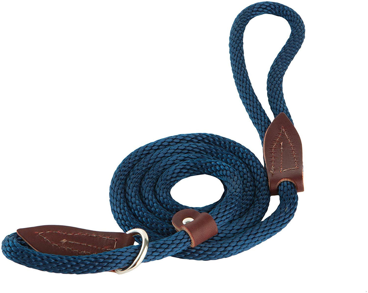 Omnipet 4-Feet Slip Lead For Dogs, X-Small, Blue
