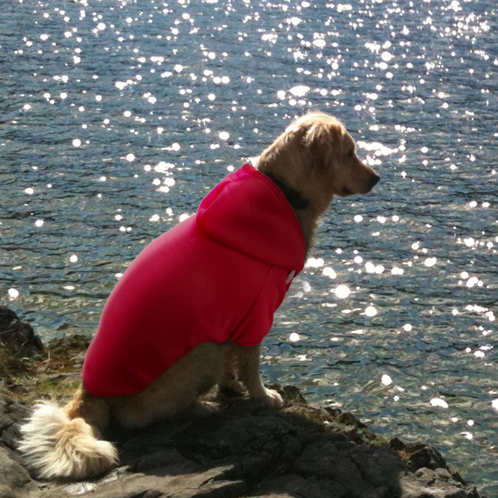 Rypet 2 Packs Basic Dog Hoodie Pet Clothes Sweater With Hat, Casual Sports Hoodie Sweatshirt For Medium Large Dogs