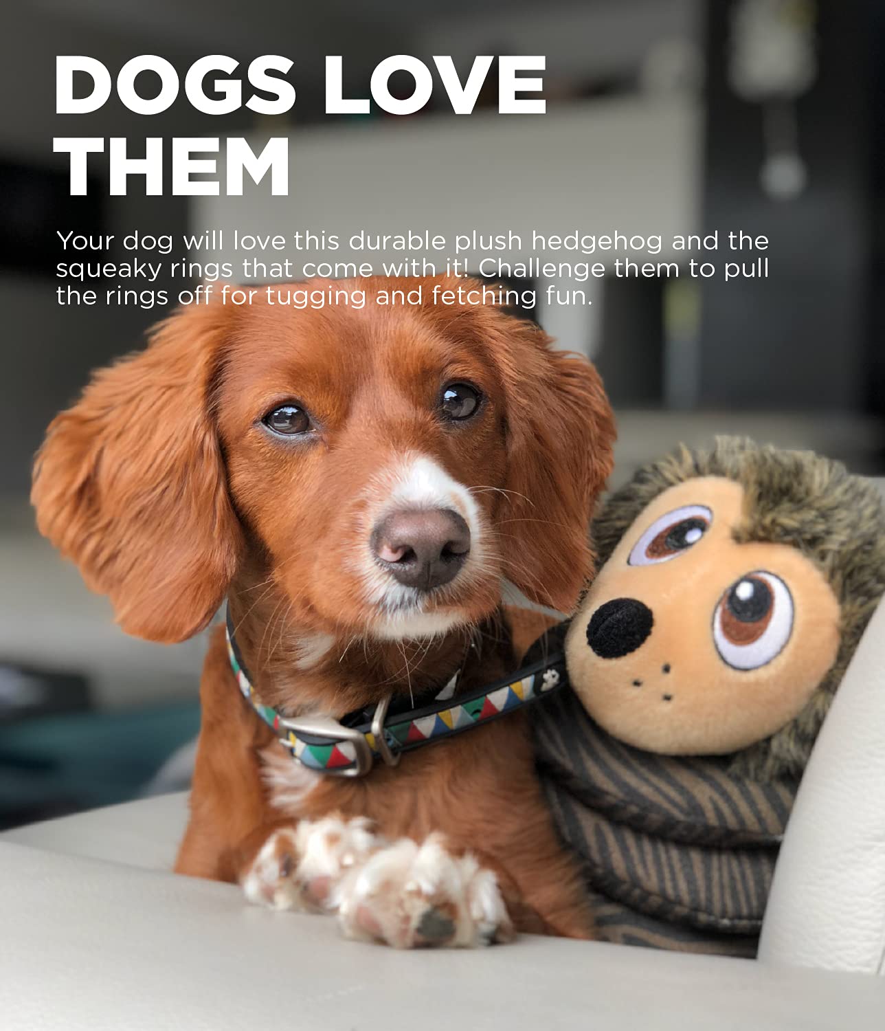 Outward Hound Hedgie Challenge Interactive Puzzle Plush Dog Toy