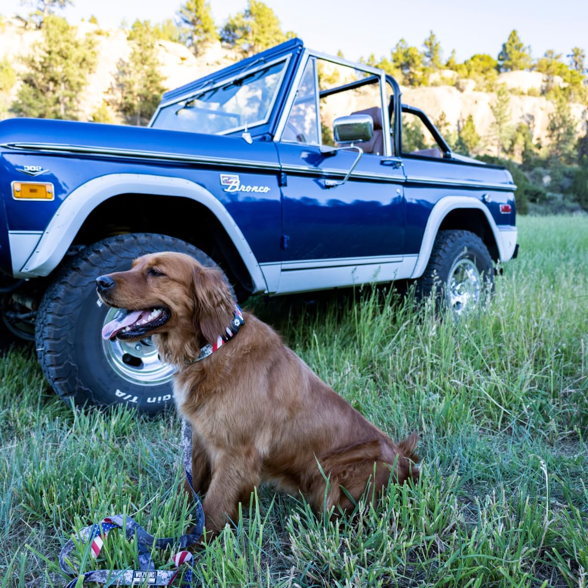 Wolfgang Heavy Duty, Adjustable Dog Collar With Quick Release Nylon Buckle For Walking & Training, Digitaldog Print, Large