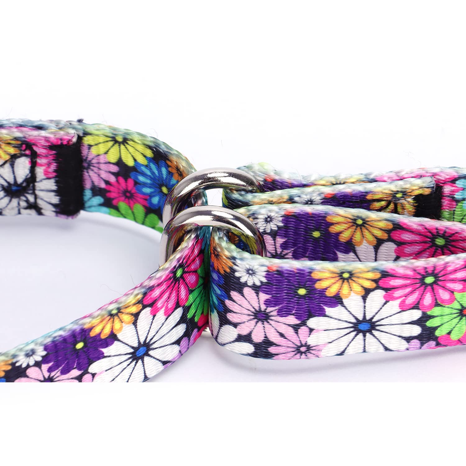 Pimaodog Heavy Duty Nylon Dog Collar, Adjustable Martingale Dog Collar For Walking Training Boy And Girl Dogs Medium Large Dogs (L:45-53Cm, Navy1)