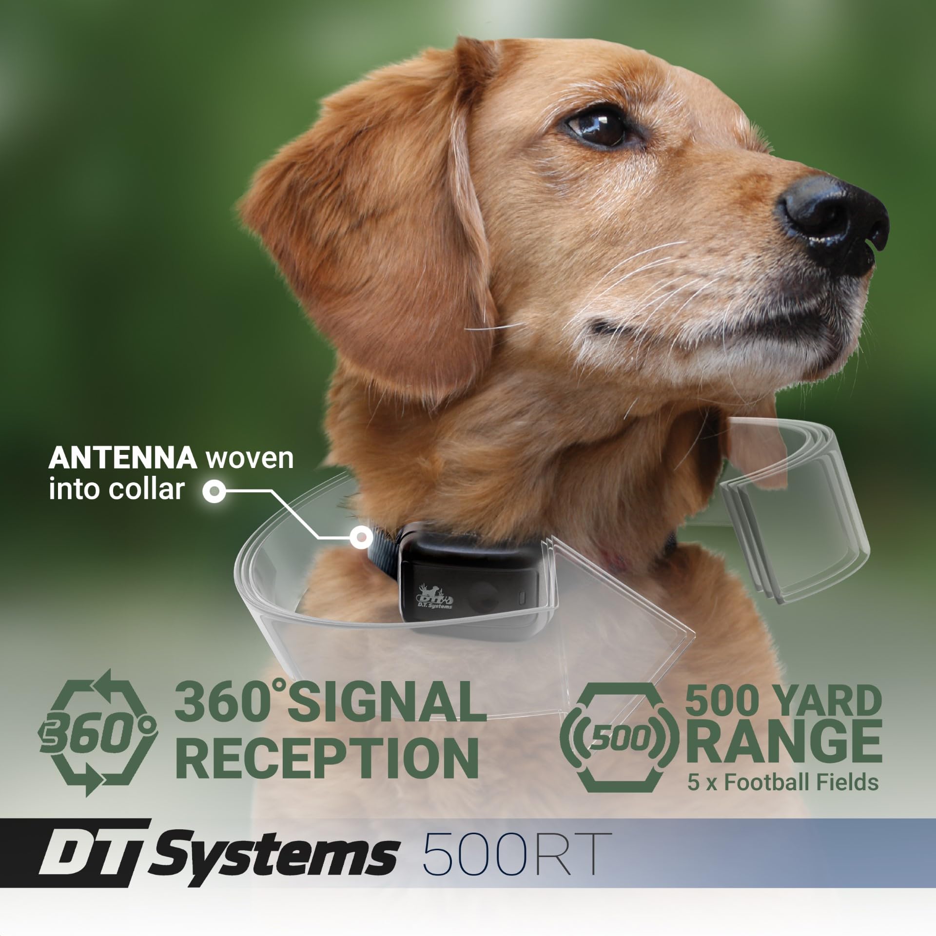Dt Systems 500Rt Dog Training Collar With Remote - Waterproof Rechargeable E-Collar - 500 Yard Range - 15 Training Levels Vibrat