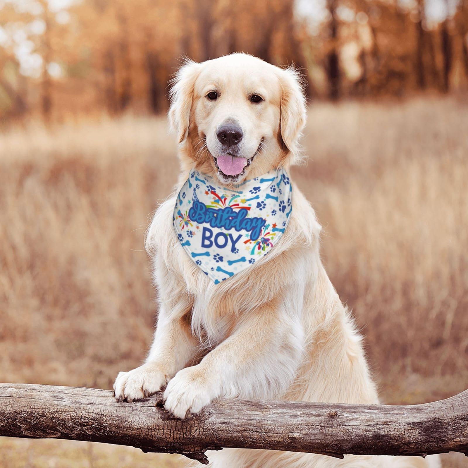 Birthday Boy Dog Bandana Scarf Triangle Bibs Pet Accessories Cat Kerchief