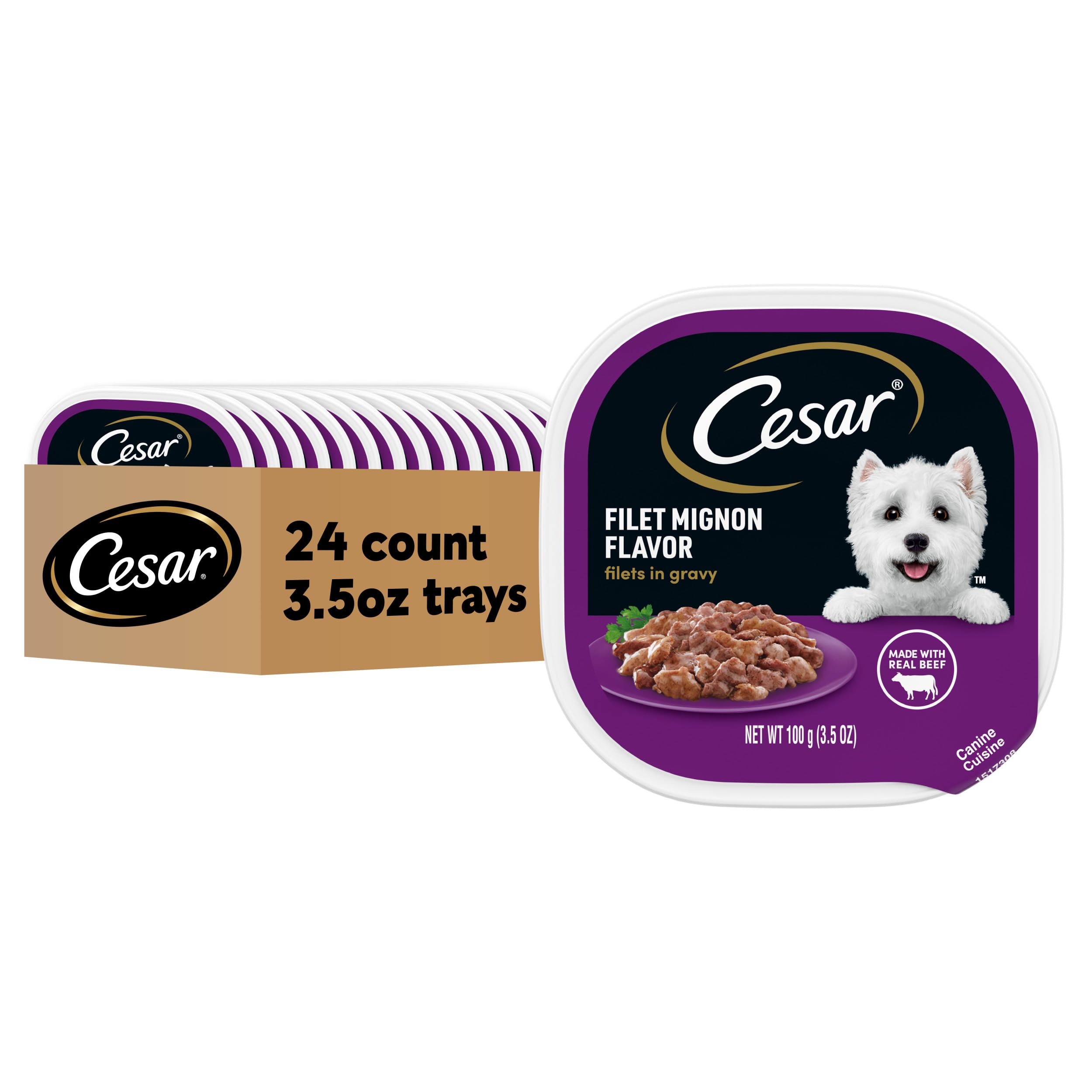 Cesar Filets in Gravy Adult Wet Dog Food, Filet Mignon Flavor, 3.5 oz. (24 Count, Pack of 1)