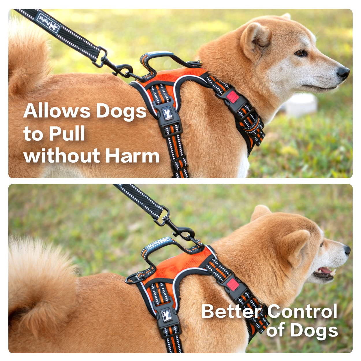 Poypet No Pull Dog Harness, No Choke Front Clip Reflective Dog Vest With Soft Padded Vertical Handle, 3 Leash Attachments For Small Medium Large Dogs (Orange,L)
