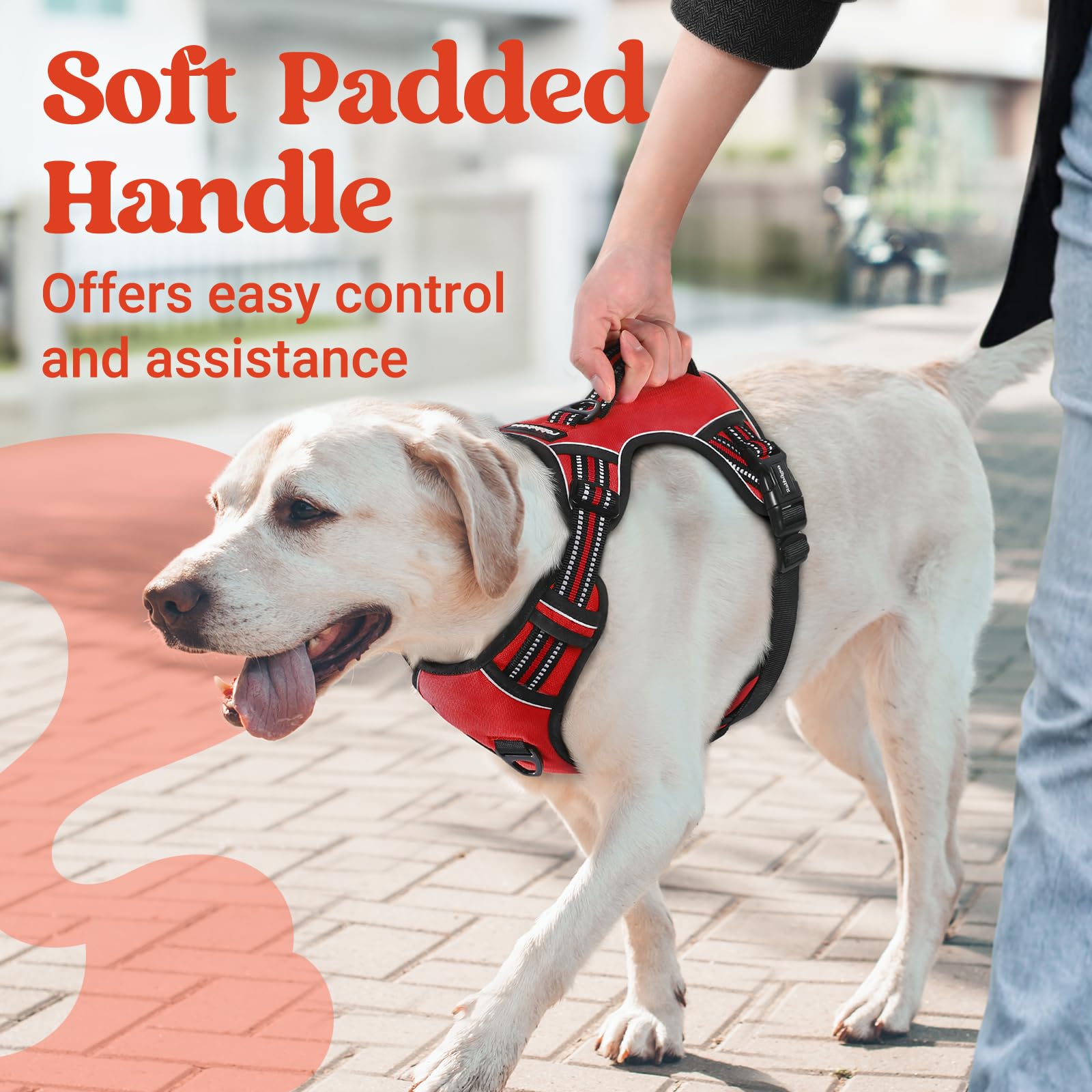 rabbitgoo Dog Harness Medium Sized, No Pull Pet Harness with Soft Padded Handle, Adjustable Reflective Vest with 3 Buckles, Easy