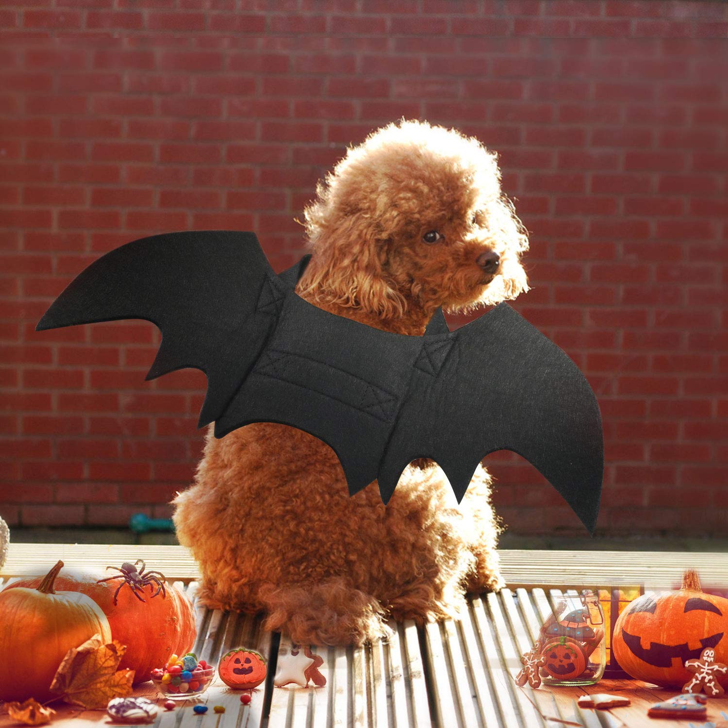 Rypet Cat Bat Costume - Halloween Pet Costume Bat Wings Cosplay Dog Costume Cat Costume For Party Xs