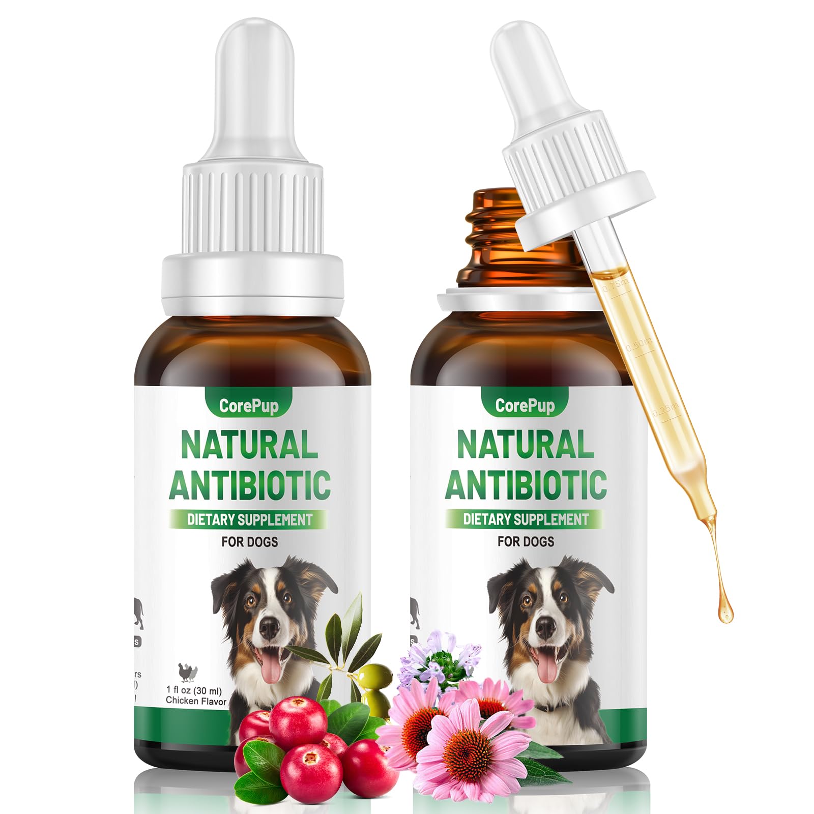 Antibiotics for Dogs,Natural Antibiotics for Dogs,Pet Antibiotic,Supplement for Urinary Tract Support, Digestion & Skin Health,D