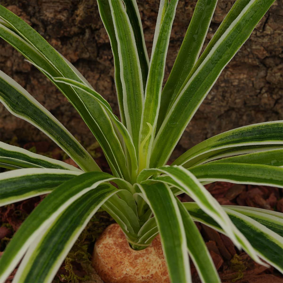 WOLEDOE Artificial Spider Plants, Reptile Terrarium Decor, Bearded Dragon Tank Accessories fit Crested Gecko Leopard Lizard Cham