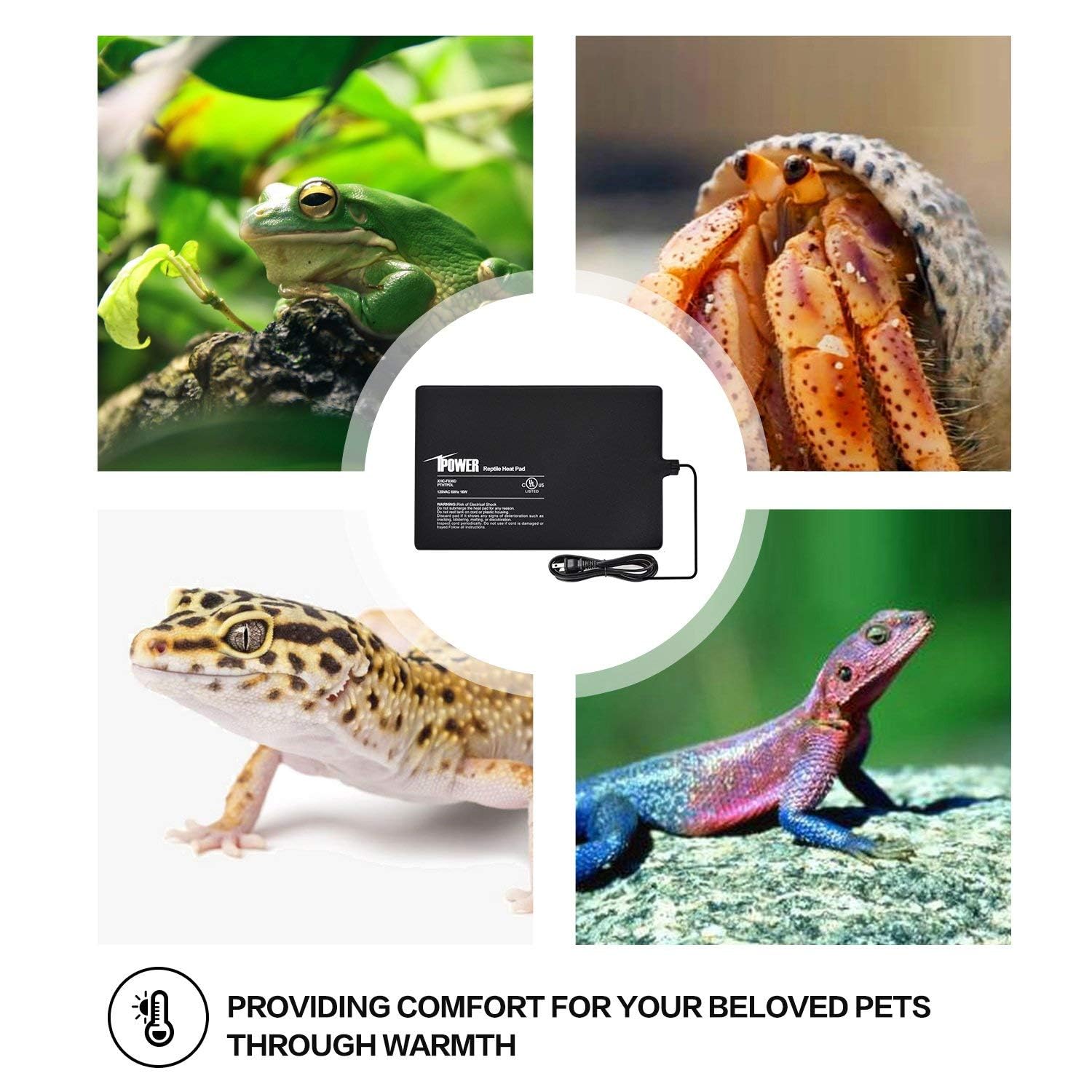 Ipower 8X12 Inch Reptile Heat Pad Under Tank Heater, Energy-Efficient & Waterproof Design Terrarium Warmer Mat For Turtles, Liza