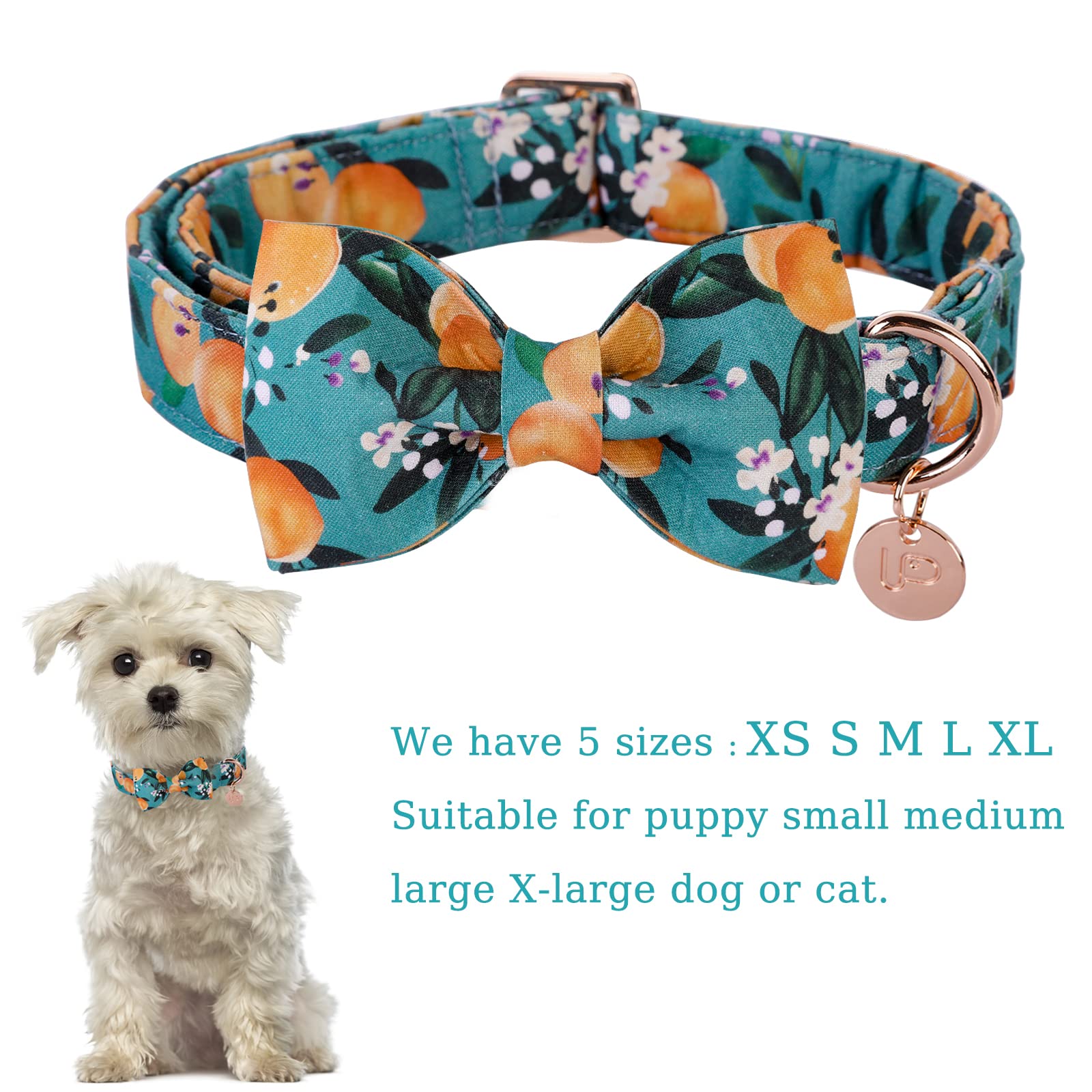 Up Urara Pup Dog Collar With Bow Tie, Durable Comfortable Cotton Bowtie Collar With Metal Buckle For Puppy Girl Boy Dog Or Cat,