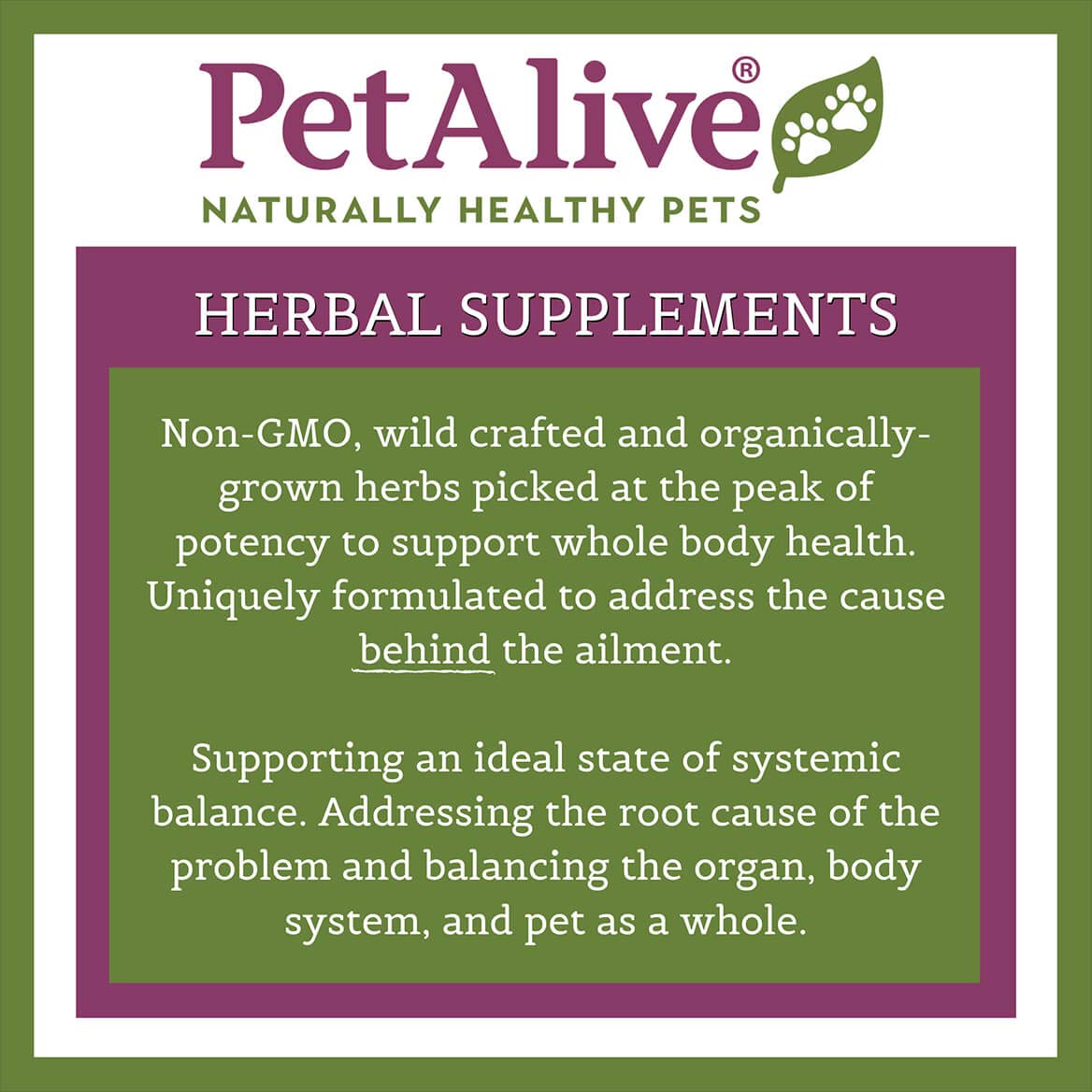 PetAlive Thyro-Pet Herbal Supplement for Dogs & Cats - Promotes Thyroid Function, One Size Fits All, Model PTYP001