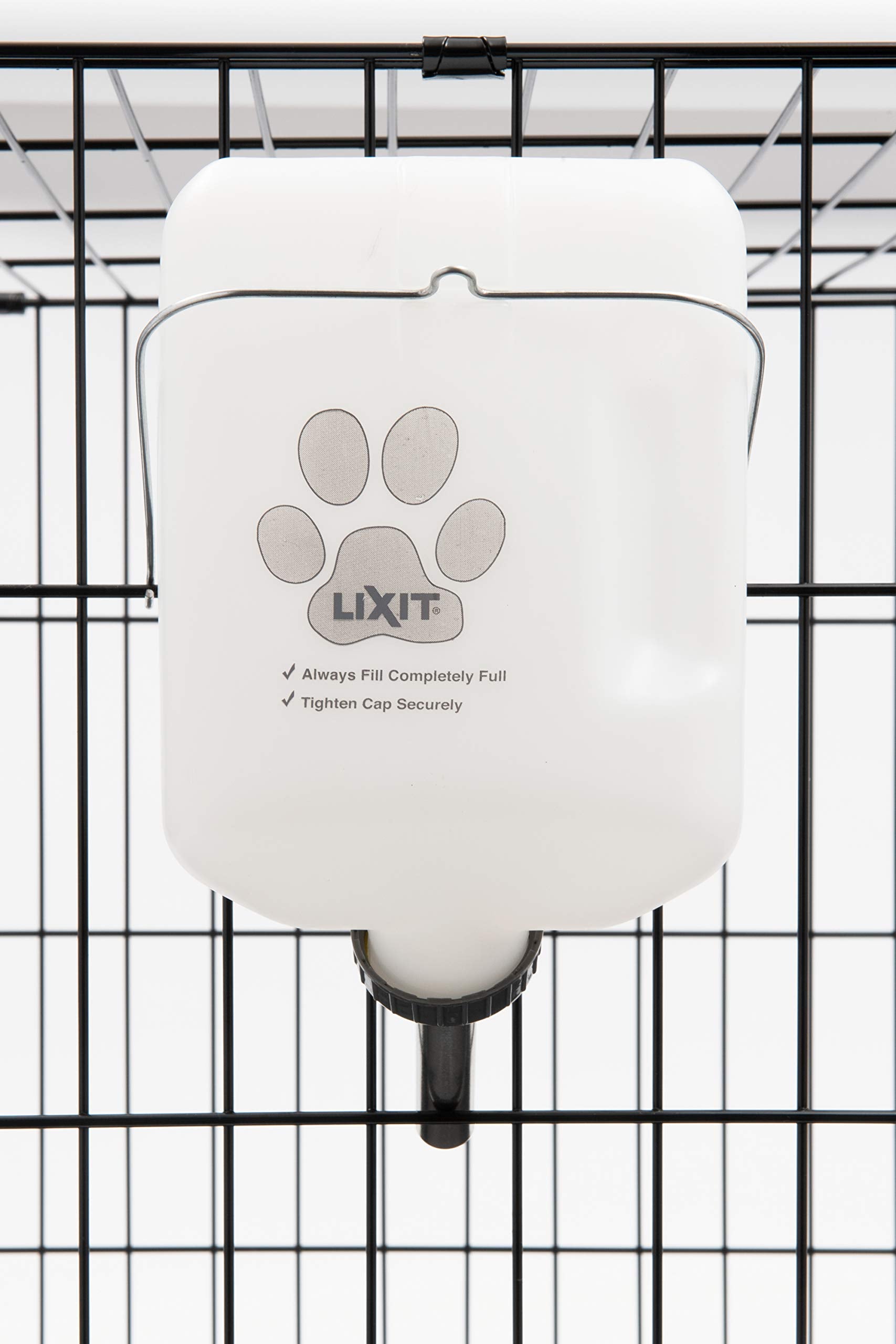 Lixit Wide Mouth Water Bottles For Large And Small Dogs (64Oz Large Dog, White)