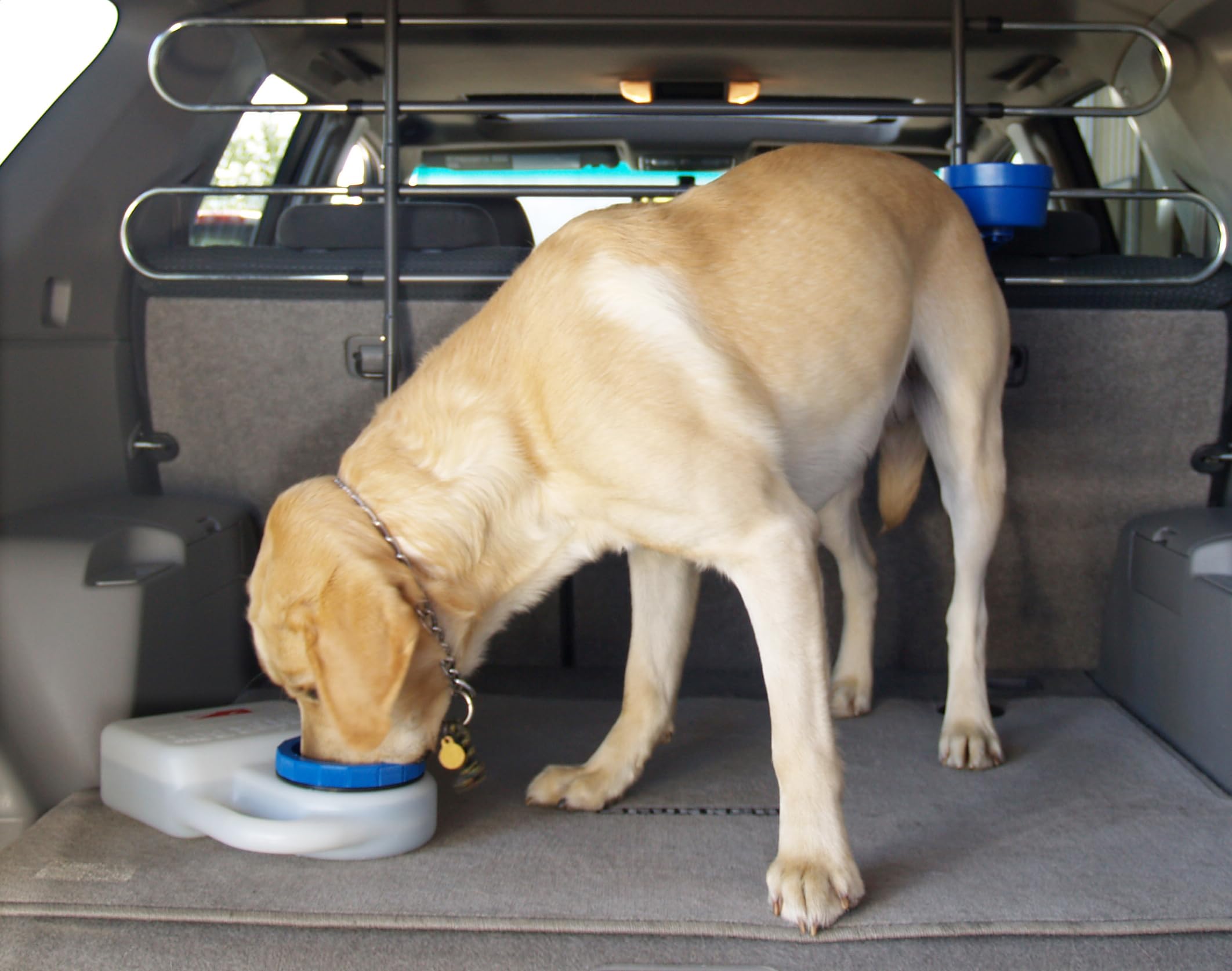 Heininger Portablepet 3059 Waterboy Travel Water Bowl For Pets (Clear), Single