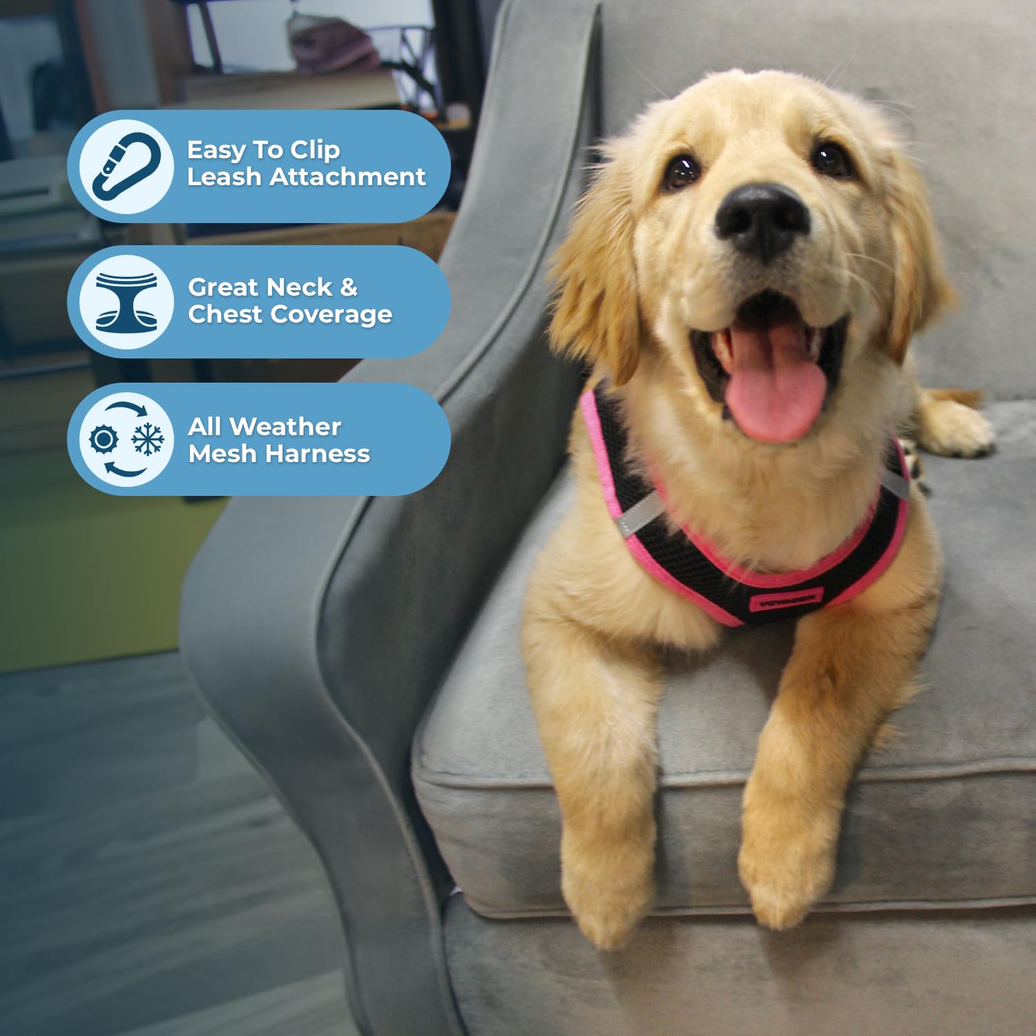 Voyager Step-In Air Dog Harness - All Weather Mesh, Reflective, No Pull Harness For Small, Medium Dogs, Cats - Secure With Hook