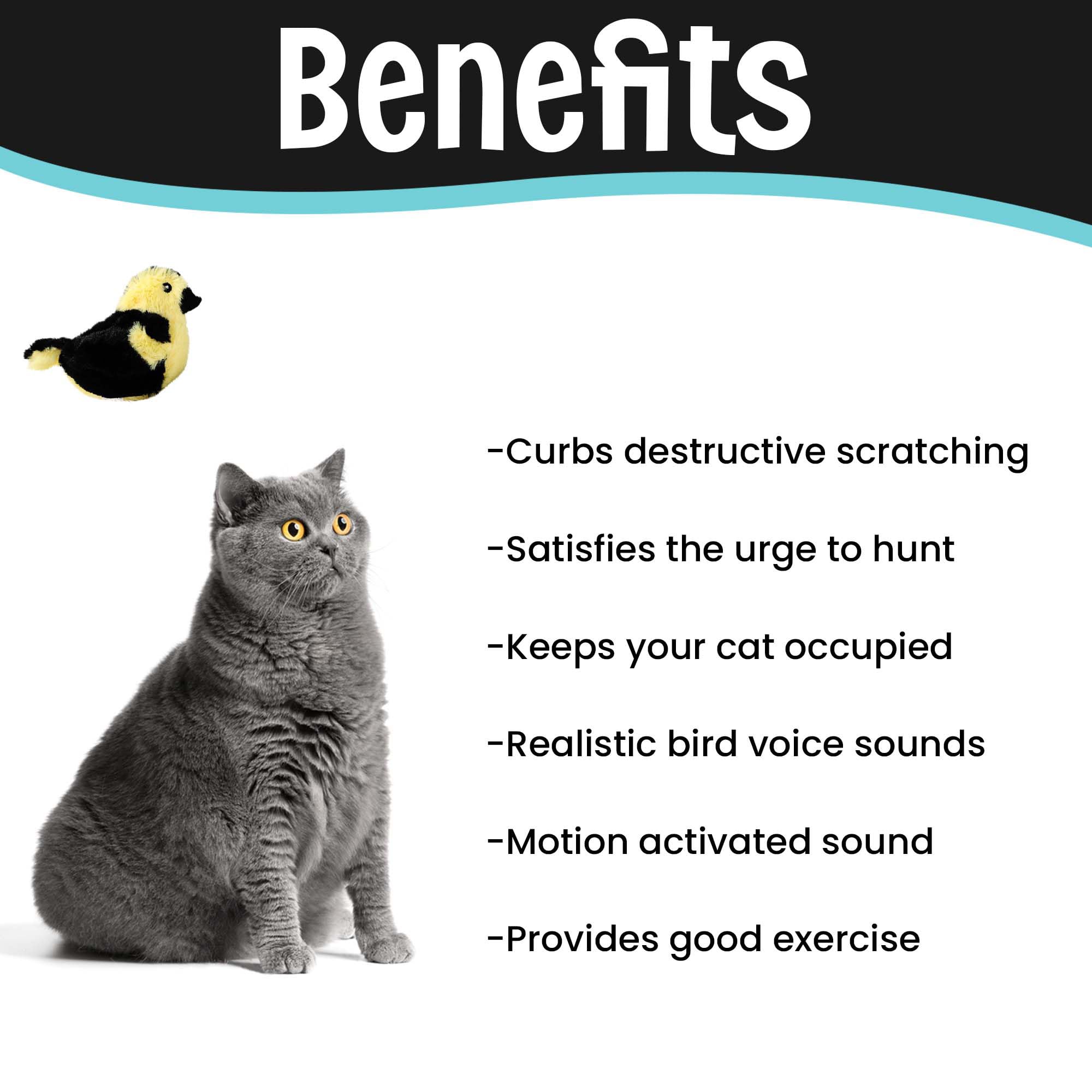 Spot Song Birds Cat Toys - Touch Activated Singing Catnip Toy Mimics Real Bird Songs, Battery Operated Toy Satisfies Cat'S Natural Urge To Hunt - One 5' Song Bird, Assorted Colors