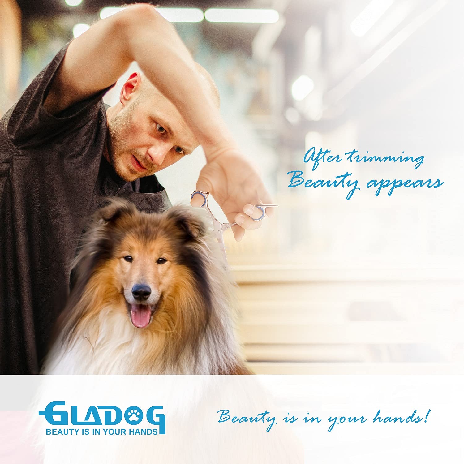 Gladog Professional 5 In 1 Dog Grooming Scissors Set With Safety Round Tips, Sharp And Durable Pet Grooming Shears For Cats