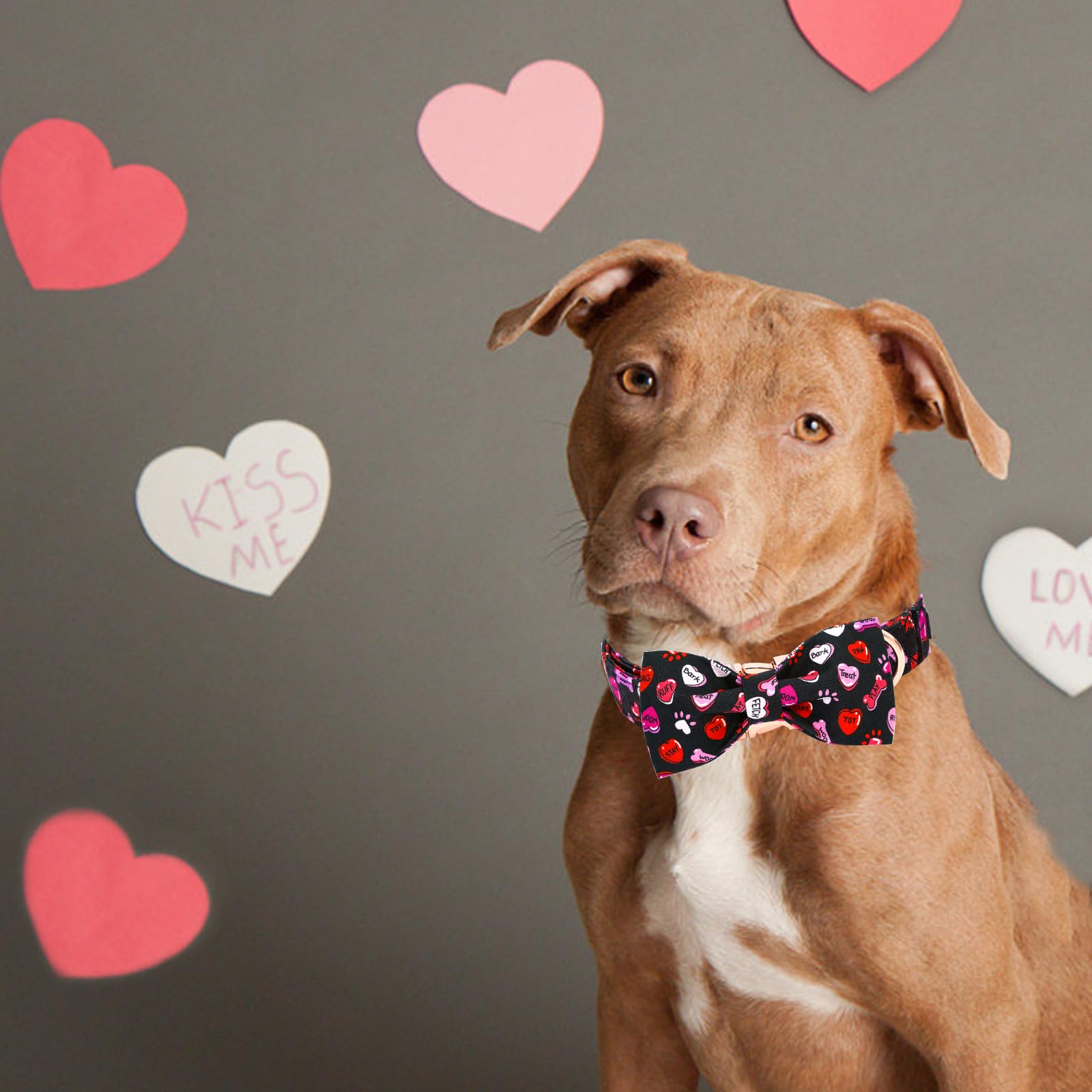 Elegant little tail Valentine's Dog Collar,Cute Heart Dog Collar with Bow for Large Dogs, Female or Male Adjustable Cotton Pet C