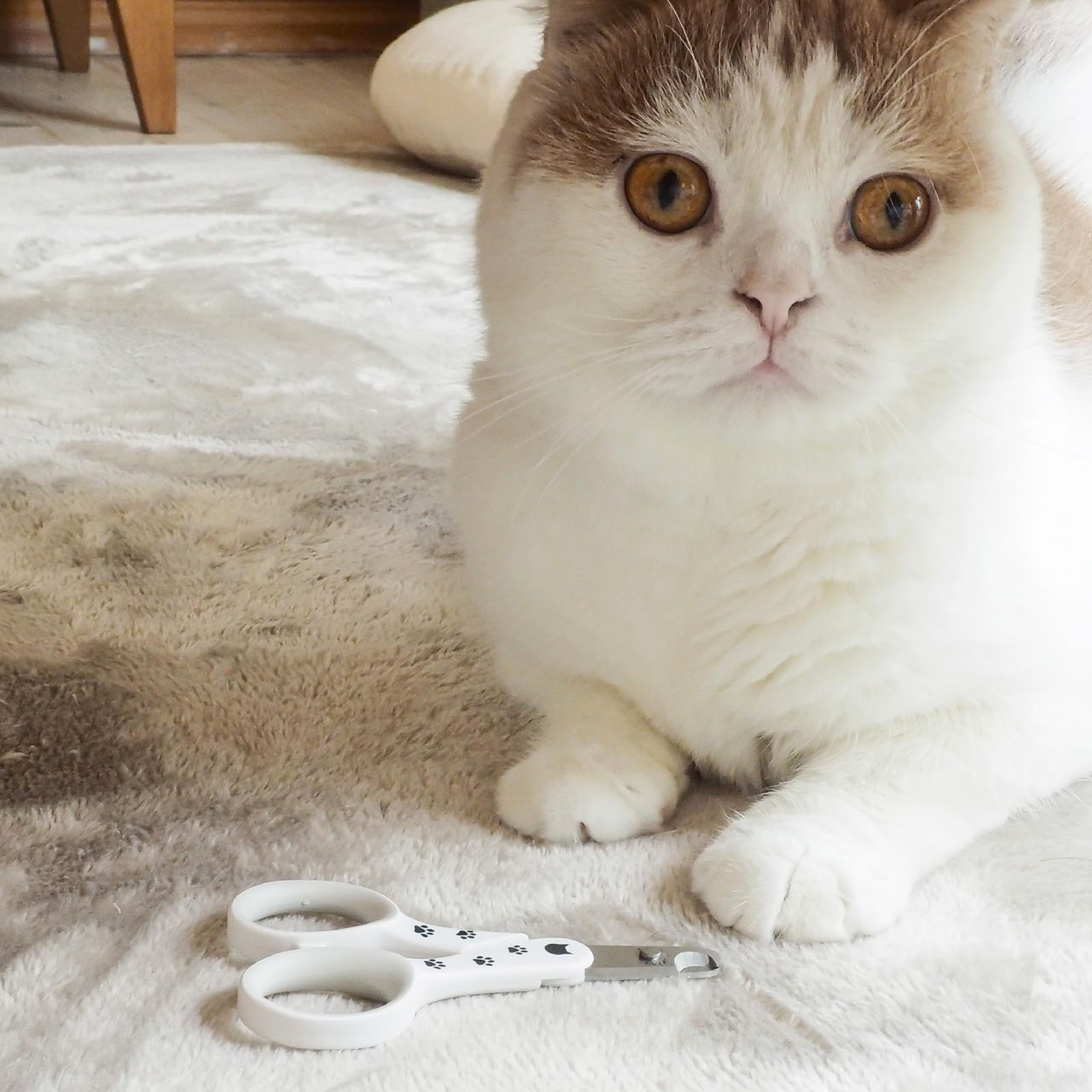 Necoichi Purrcision Feline Cat Nail Clippers Stress-Free, Expertly Crafted In Japan, Neater, Easier, Safer, 30% Thinner Blades, No.1 Seller In Japan!