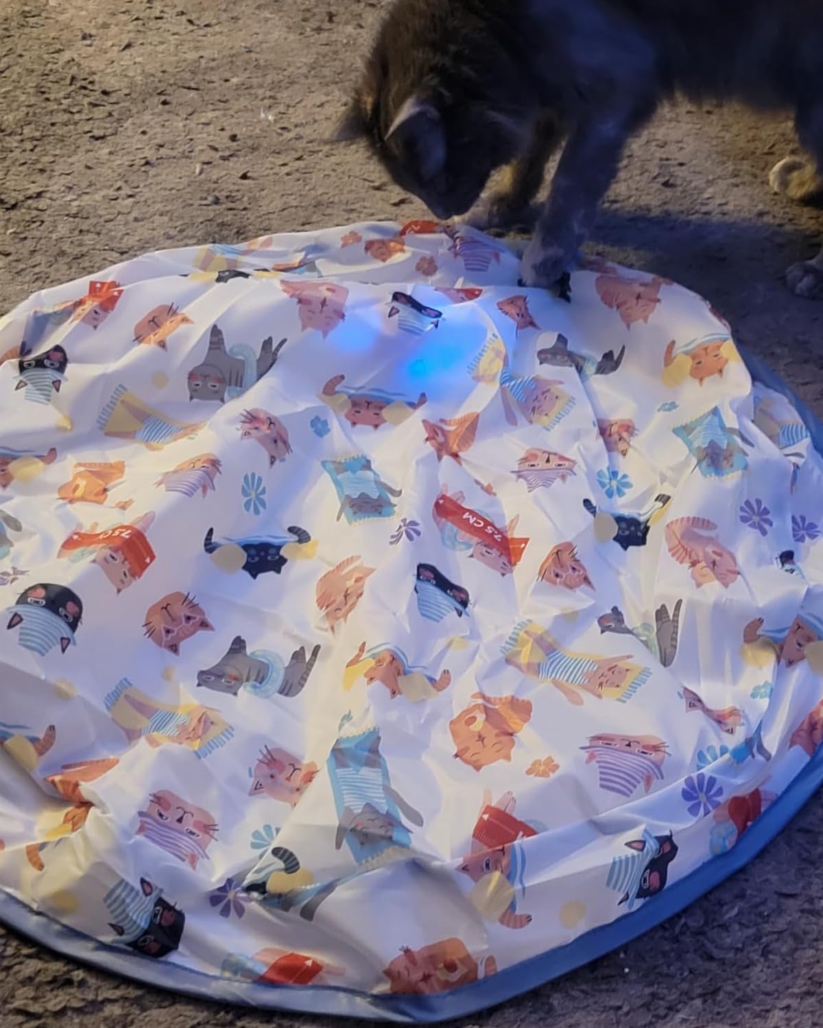 Bdor Interactive Cat Toys Ball, Automatic Hide And Seek Toy In Pouch, Motion Activated Ball For Indoor Cats, Cat Puzzle Toy, Thr