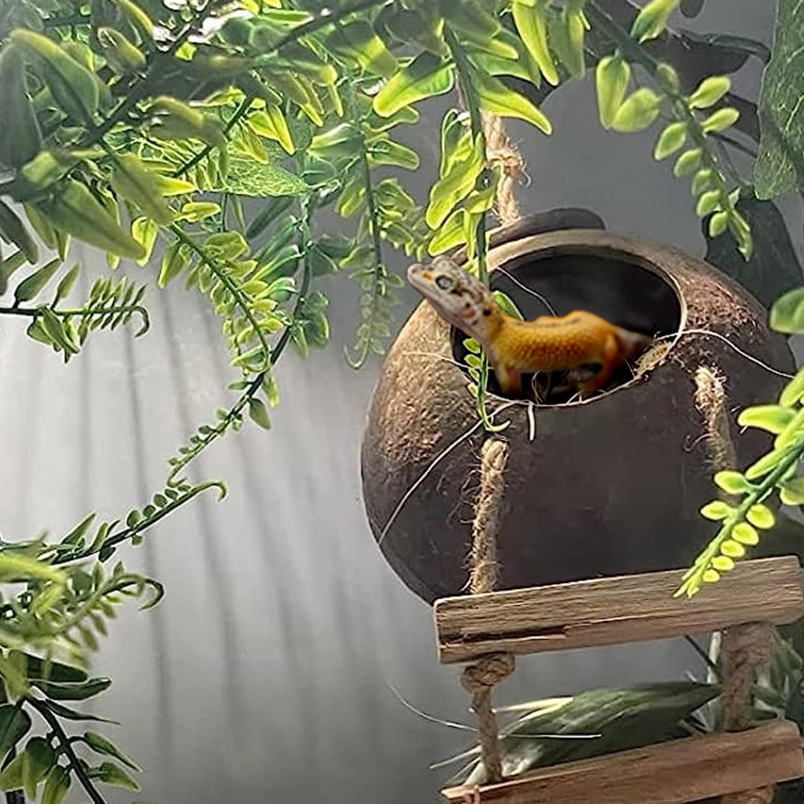 Muyg Grested Gecko Coconut Hut With Ladder,Leopard Gecko Coconut Hide Lizards Hanging Coco Den Cave Reptile Hammock Reptiles Tan