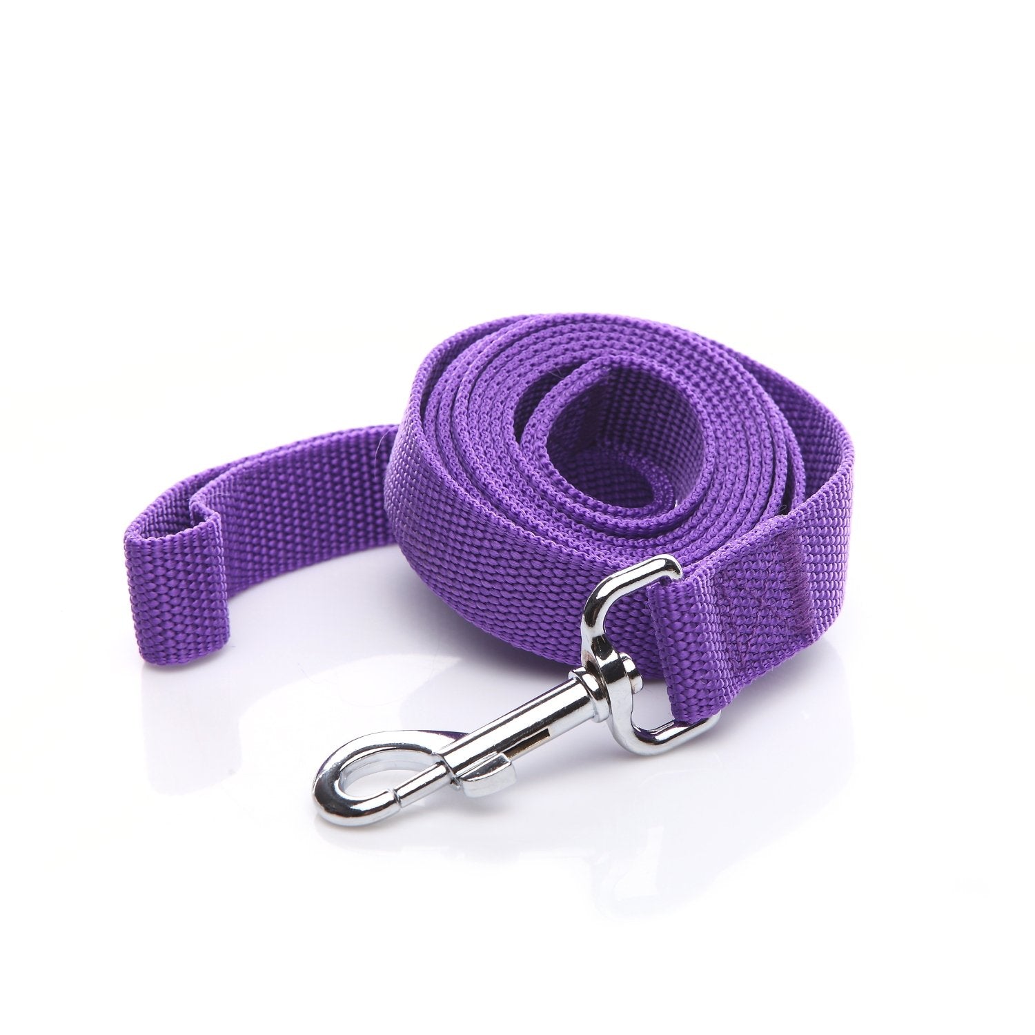 Nylon Dog Leash 12 Feet Long, Walking Training Dog Leashes For Medium Large Dogs(1'' X 12 Ft, Purple)