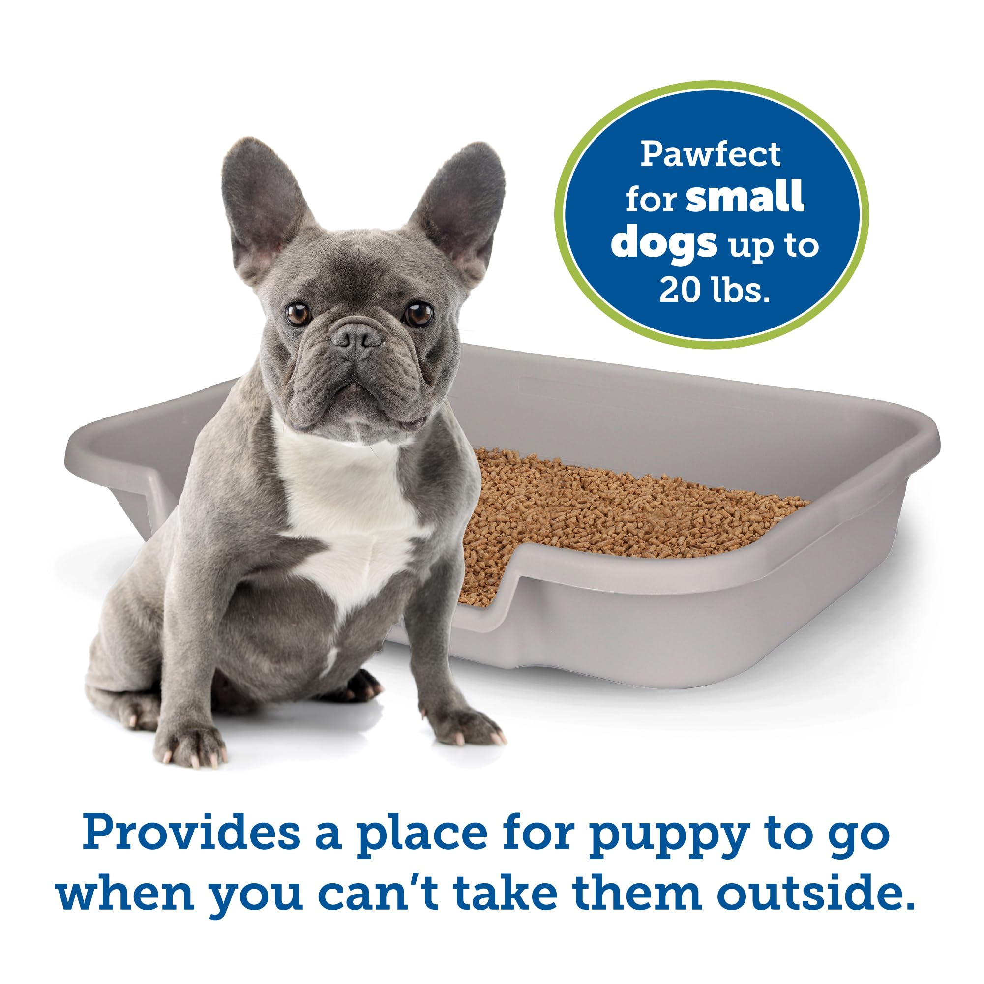 Puppygohere Dog Litter Box, Large Size, Misty Gray, Durable & Pet Safe, Indoor Open Top Entry Litter Pan, Comfortable For Puppy, Great For Dogs Up To 20 Lbs