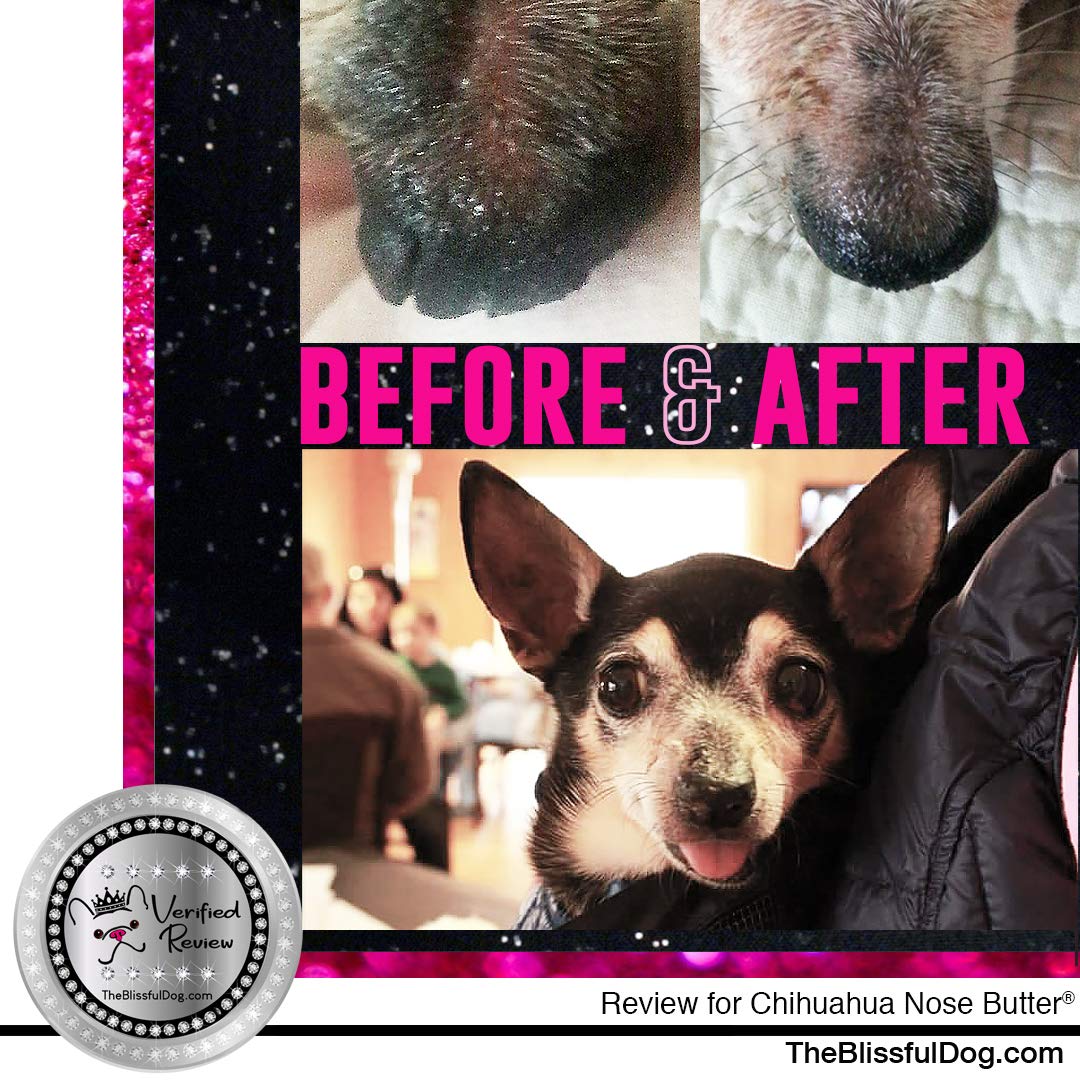 The Blissful Dog Long Coat Chihuahua Unscented Nose Butter - Dog Nose Butter, 4 Ounce