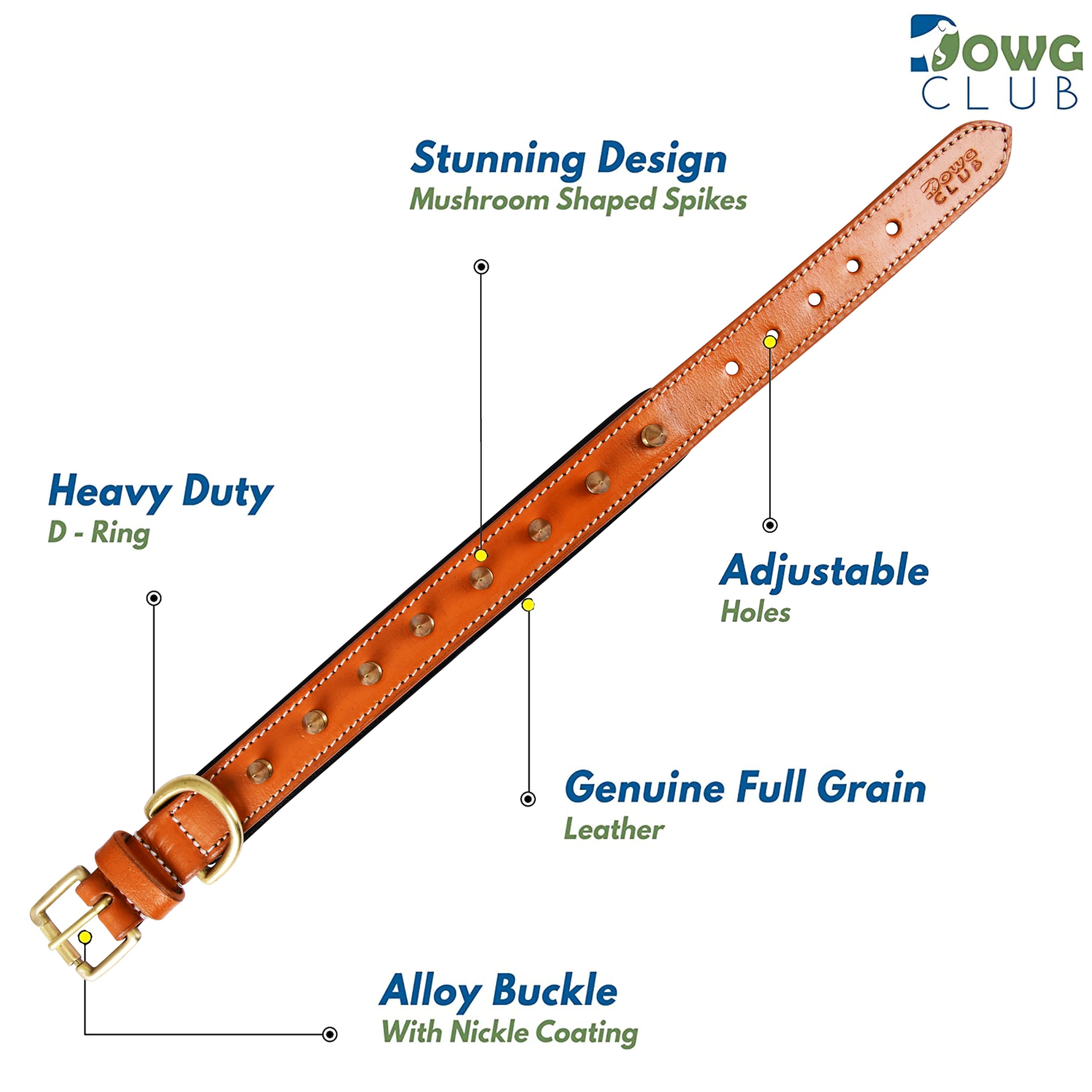 Dowgclub | Genuine Leather Spike Dog Collar | 1'' Wide | Full Grain, Heavy Duty, Comfortable, Strong, Inner Padding | Best For S