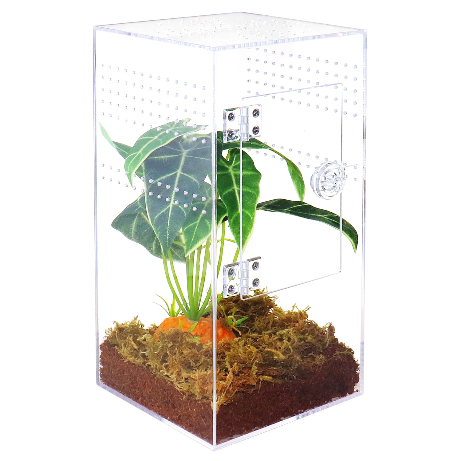 Naneezoo Jumping Spider Enclosure With Front Opening Door, 6''X6''X12'' Reptile Breeding Box Micro Habitat Terrarium For Small T