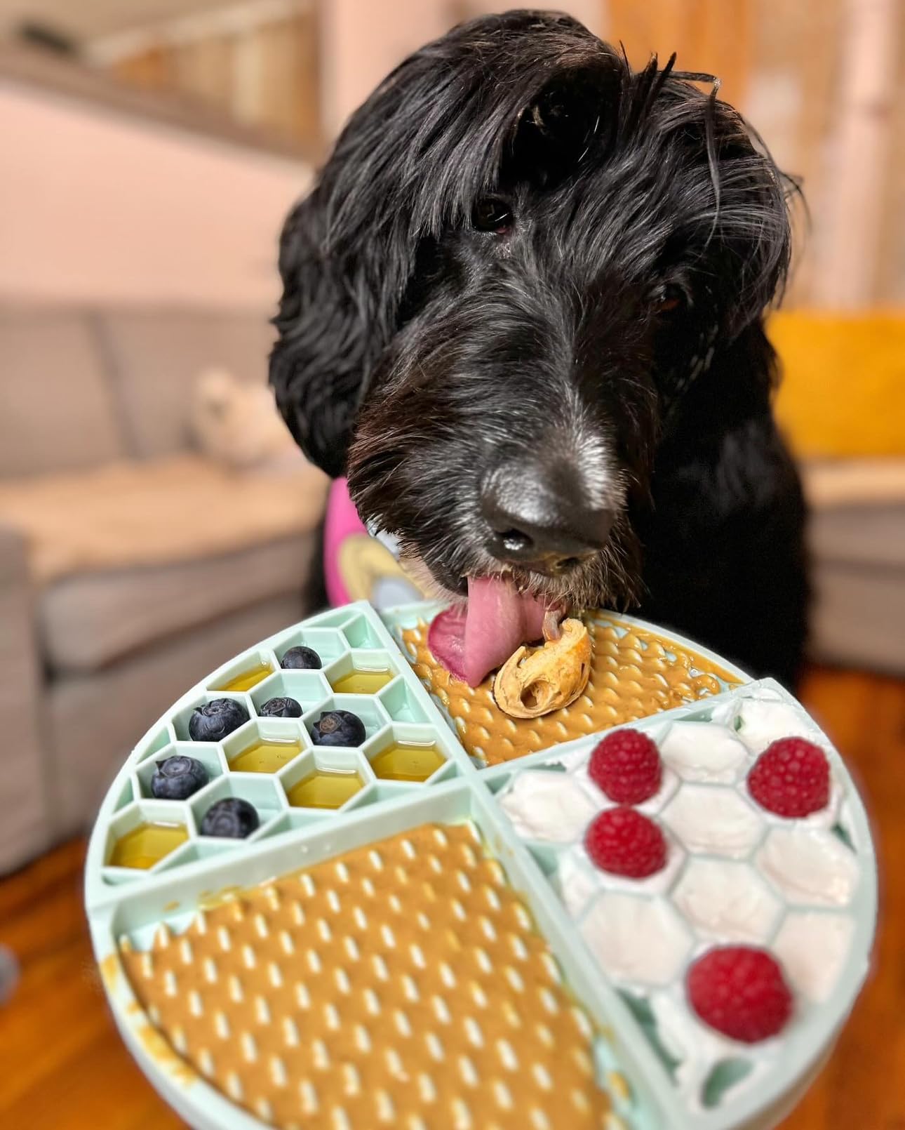 BUDDY BUDDER Superberry Snoot + Pumpkin Pup Blue Dog Enrichment Mat Combo, 100% Natural Peanut Butter, Healthy Dog Treats - Made
