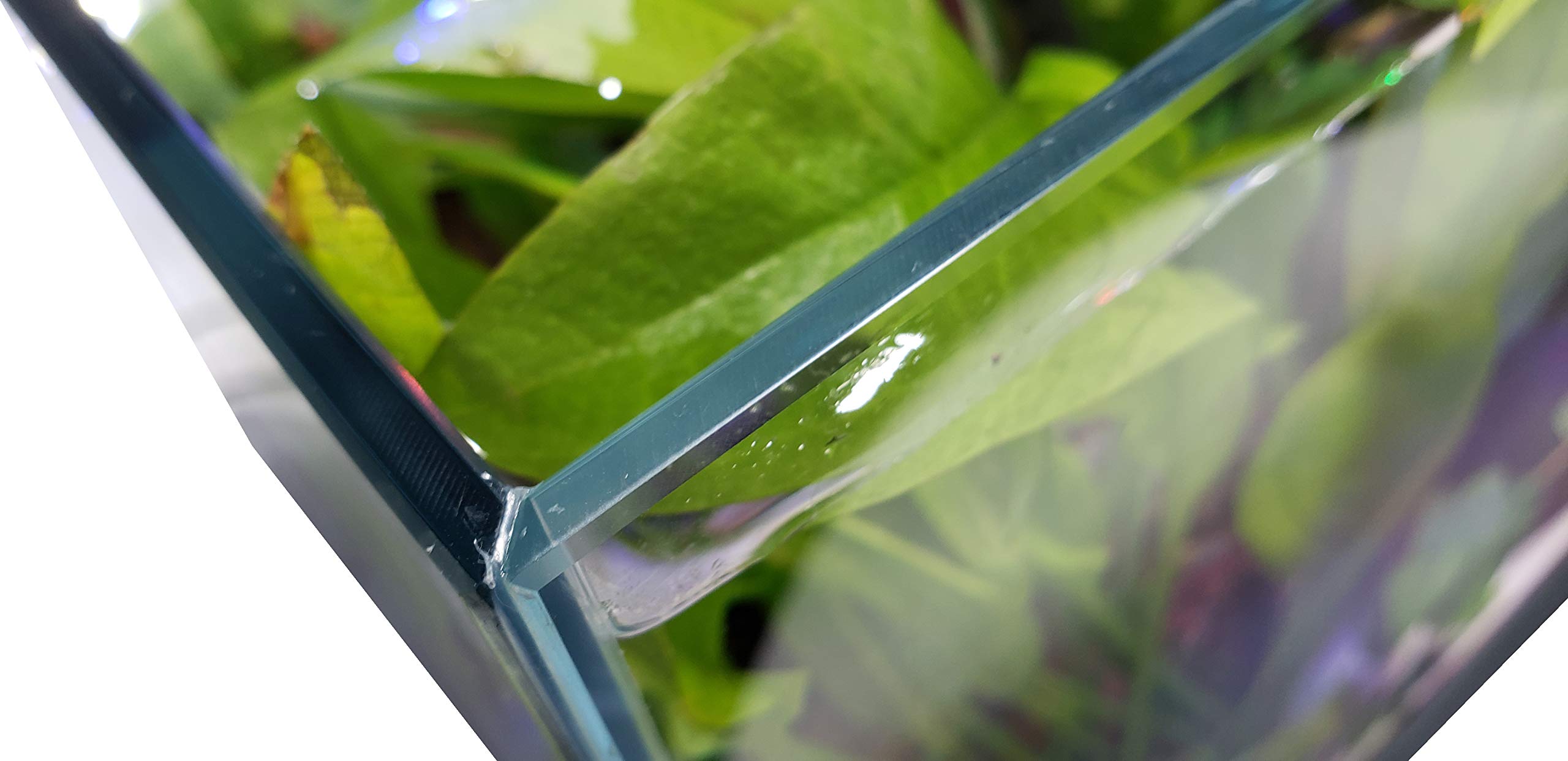 Lifegard Low Iron Ultra Clear Crystal Aquarium Tank – Rimless Glass, Beveled Edge, Rectangular Style – 5.44 Gph