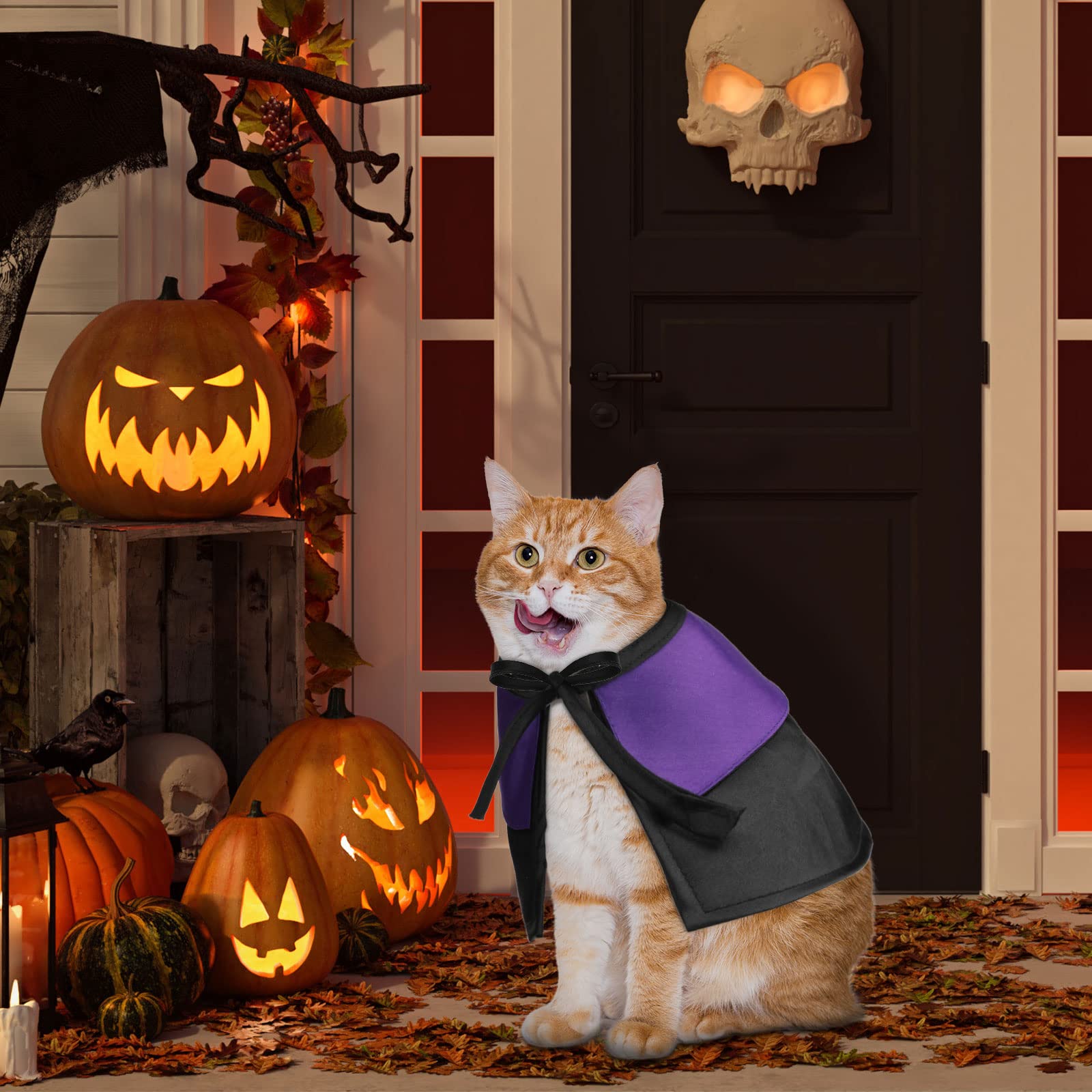 3 Piece Halloween Cat Dog Costume Set, Pet Bat Witch Vampire Pumpkin Cloak Giant Imitation Pet Spider Pets Costume Cosplay Accessories Halloween Pets Decoration For Dogs Puppy Cats (Cool,S)